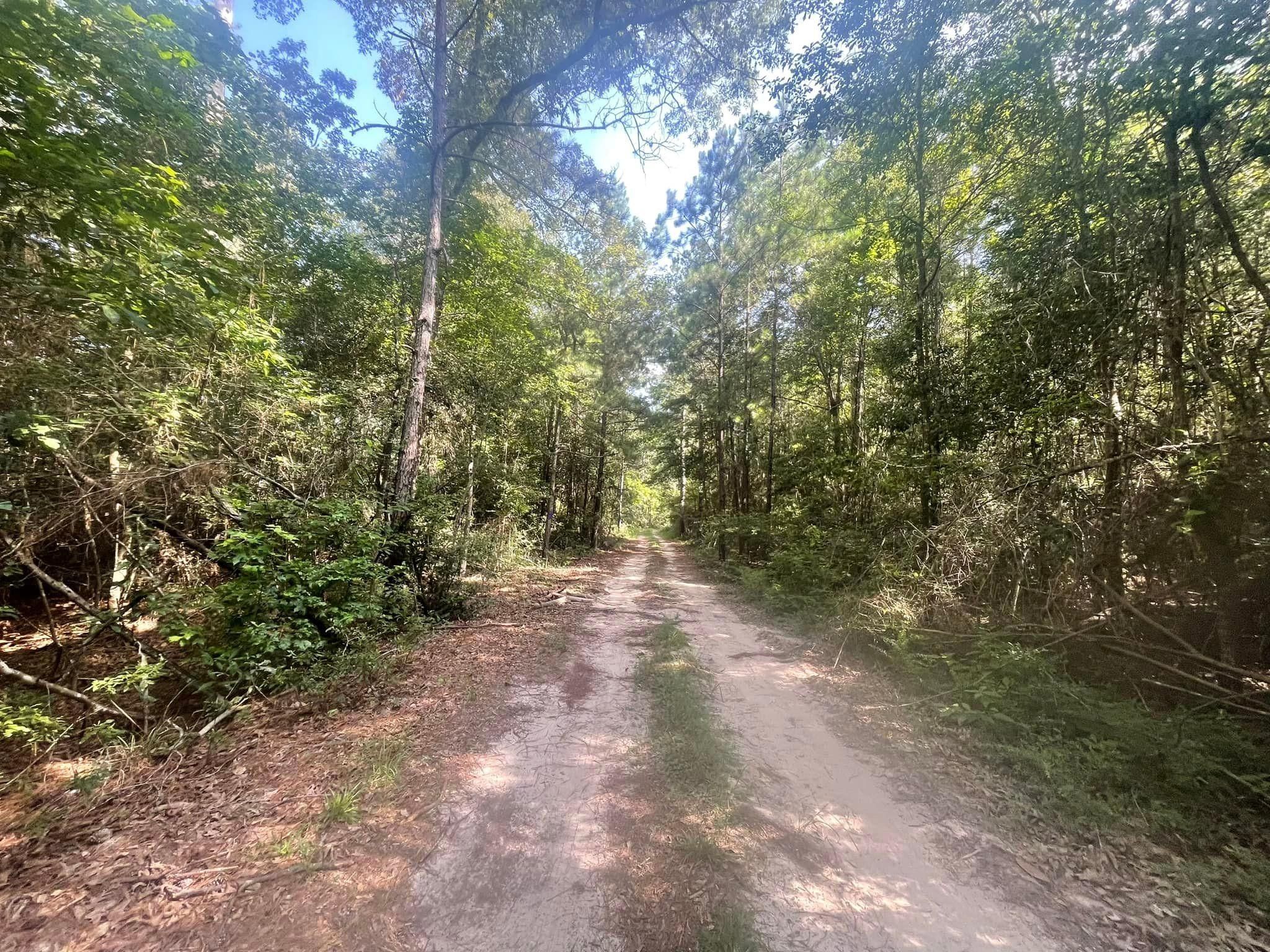 Fred, Tyler County, TX Recreational Property, Undeveloped Land, Hunting