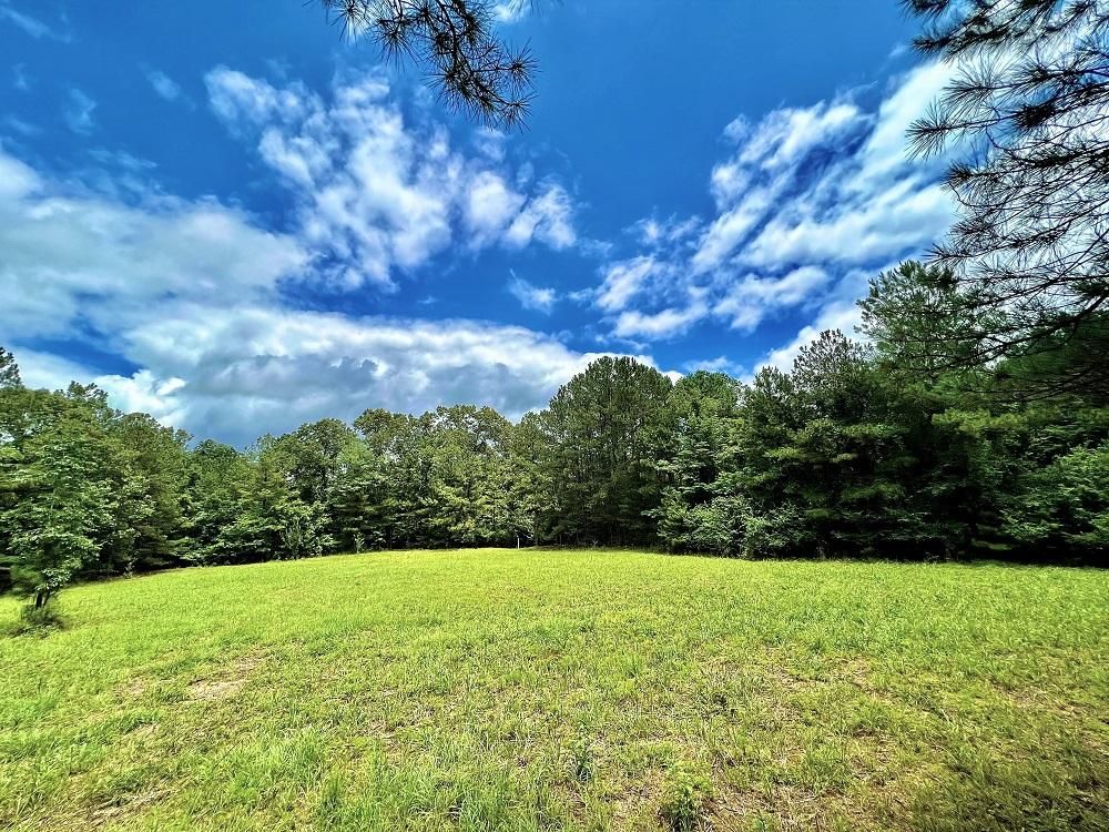 Butler, Taylor County, GA Recreational Property, Undeveloped Land for