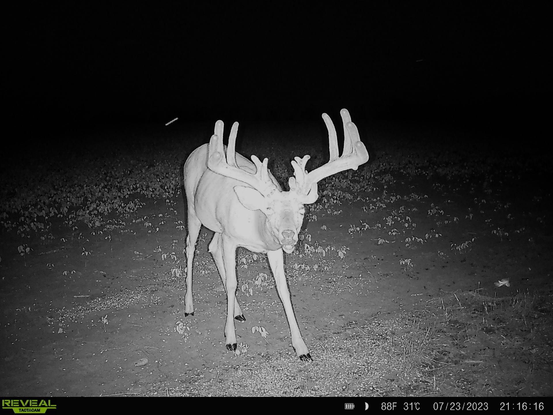 Oxen Road, LeRoy, KS 66857 MLS 22365 LandWatch