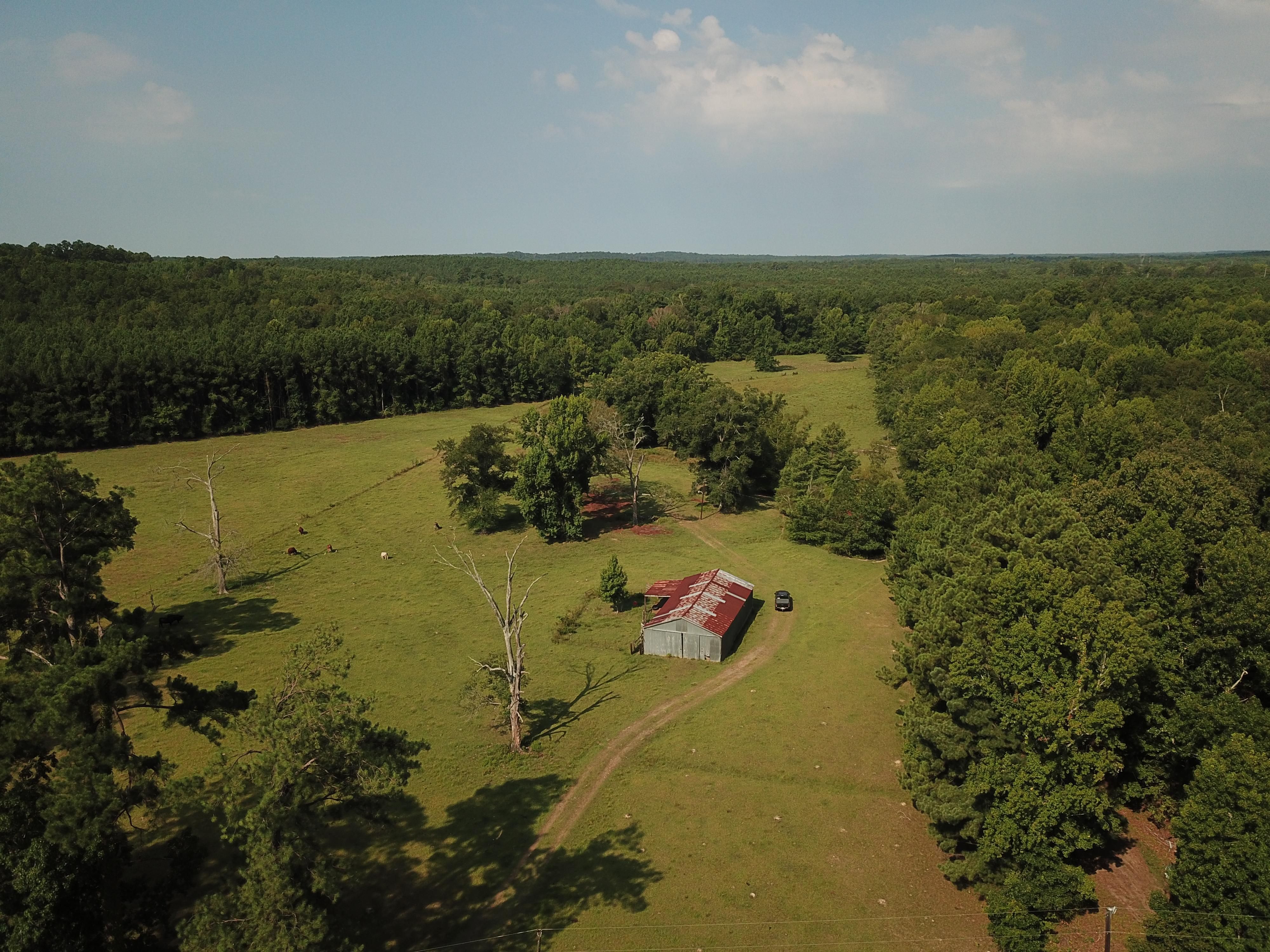 Burkeville, Newton County, TX Farms and Ranches for sale Property ID 417048368 LandWatch