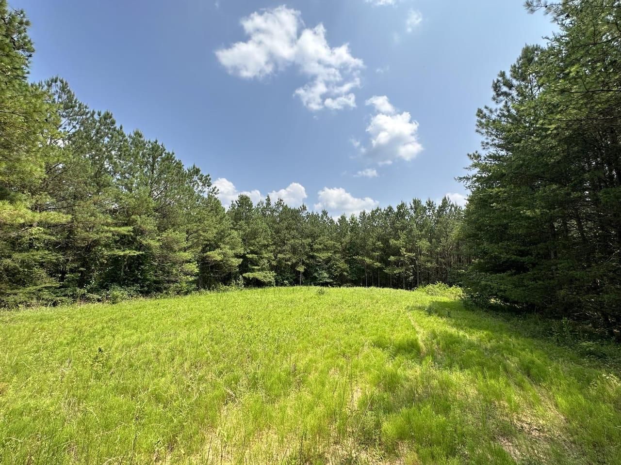 Haleyville, Marion County, AL Farms and Ranches, Recreational Property