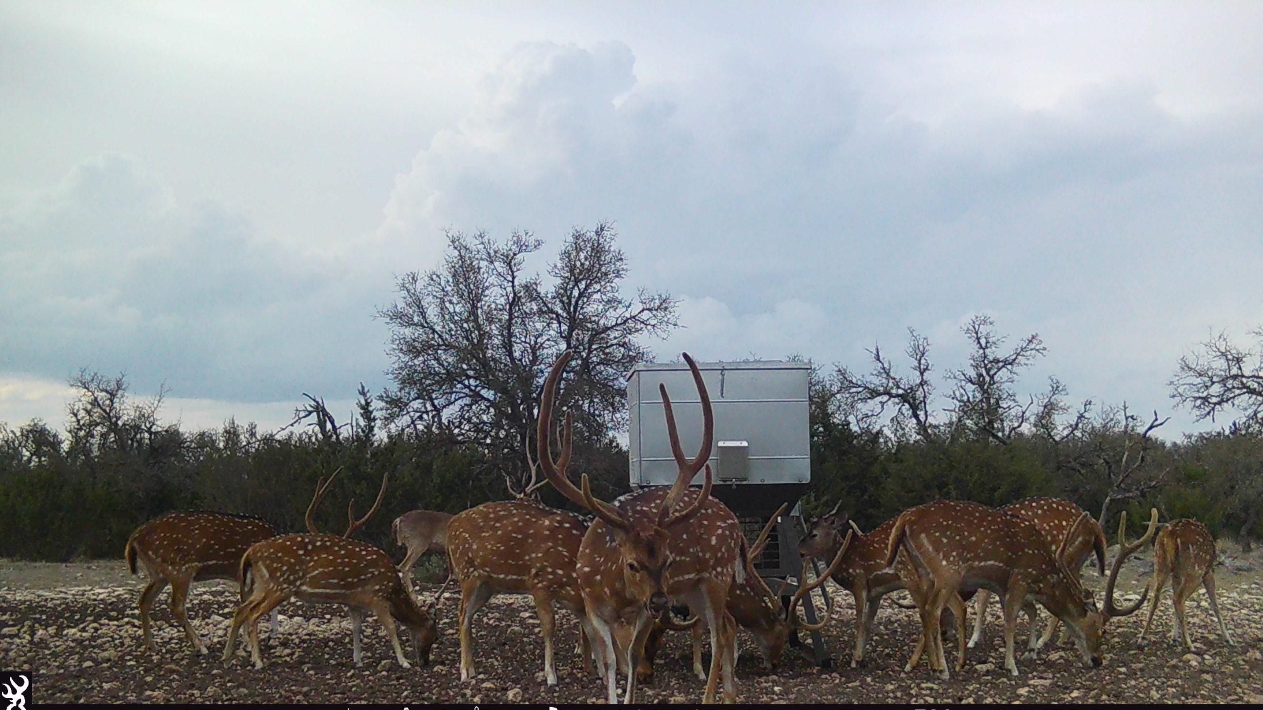 Rocksprings, Edwards County, TX Farms and Ranches, Recreational