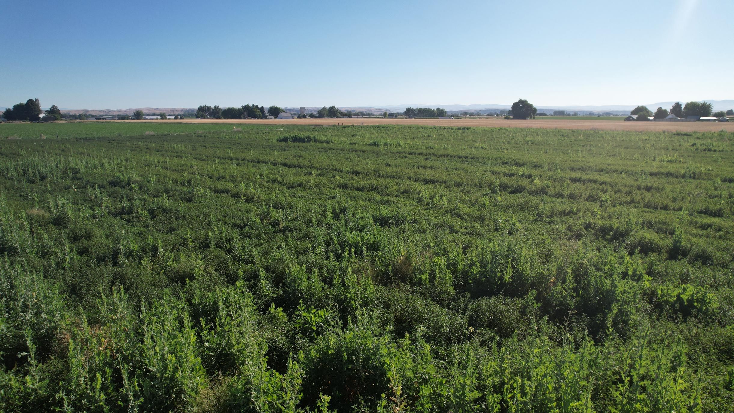 Northwest 1st Avenue, Fruitland, ID 83619 MLS Fruitland Acreage Lot