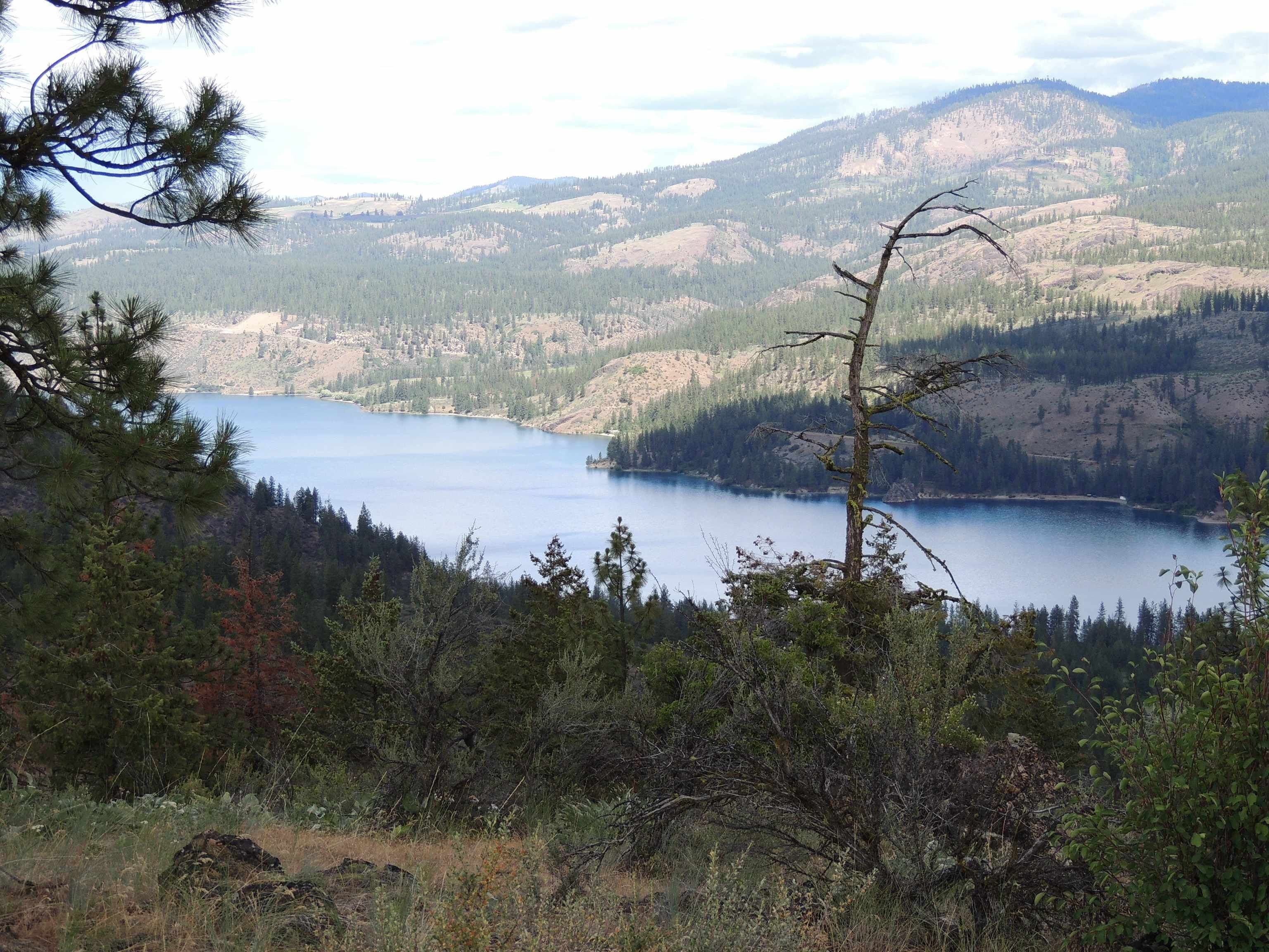Davenport, Lincoln County, WA Farms and Ranches for sale Property ID