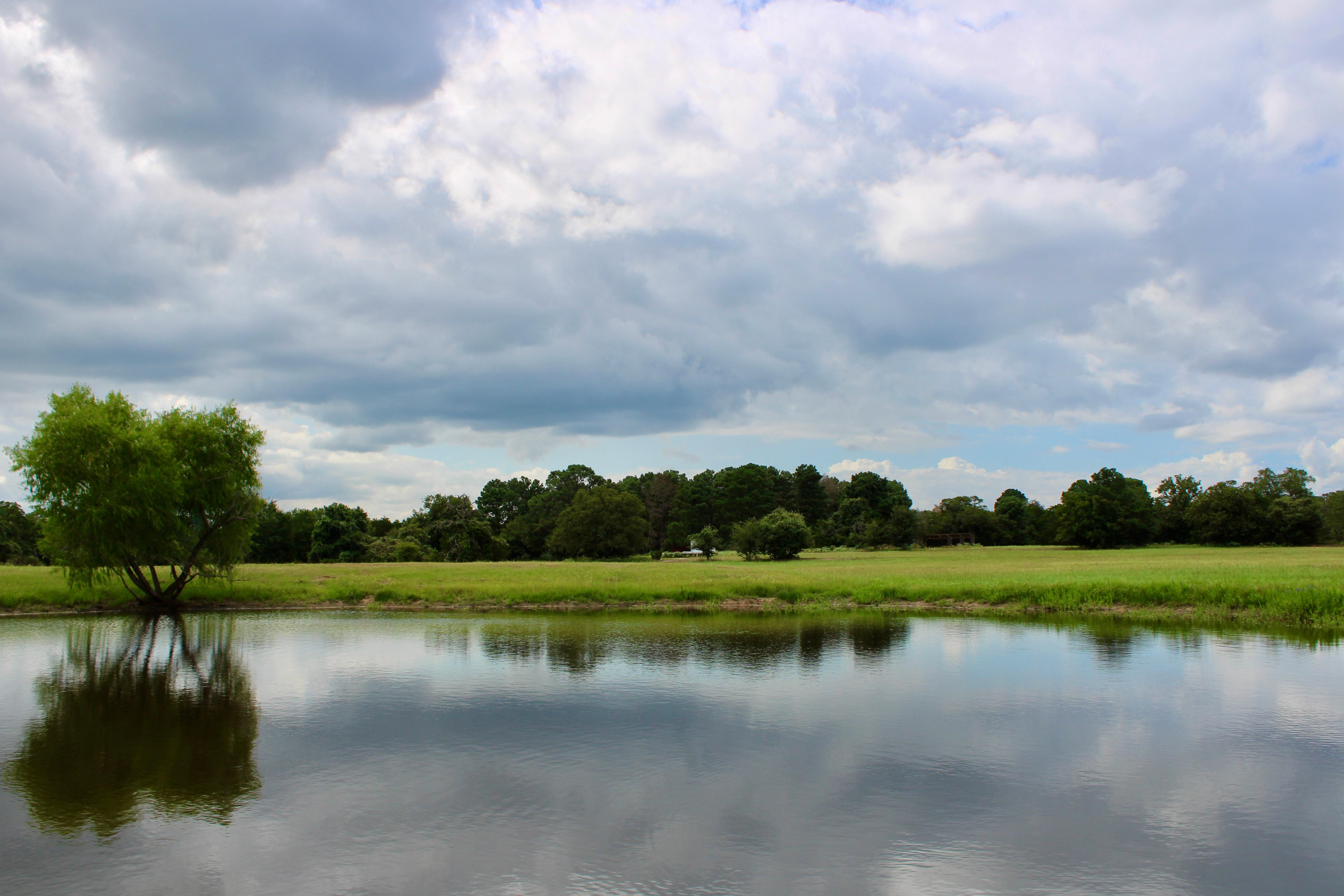 Paige, Bastrop County, TX Recreational Property, Horse Property for