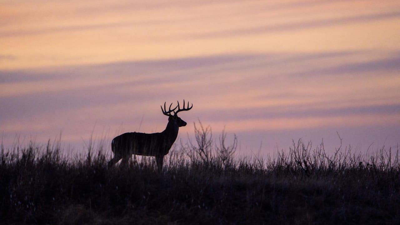 Electra, Wichita County, TX Farms and Ranches, Recreational Property