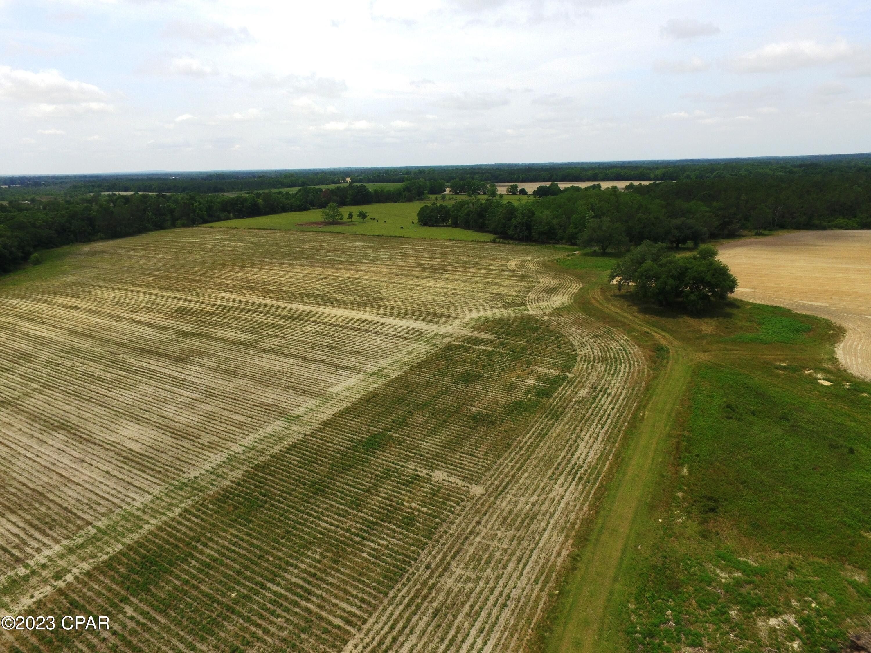 Cottondale, Jackson County, FL Undeveloped Land, Lakefront Property