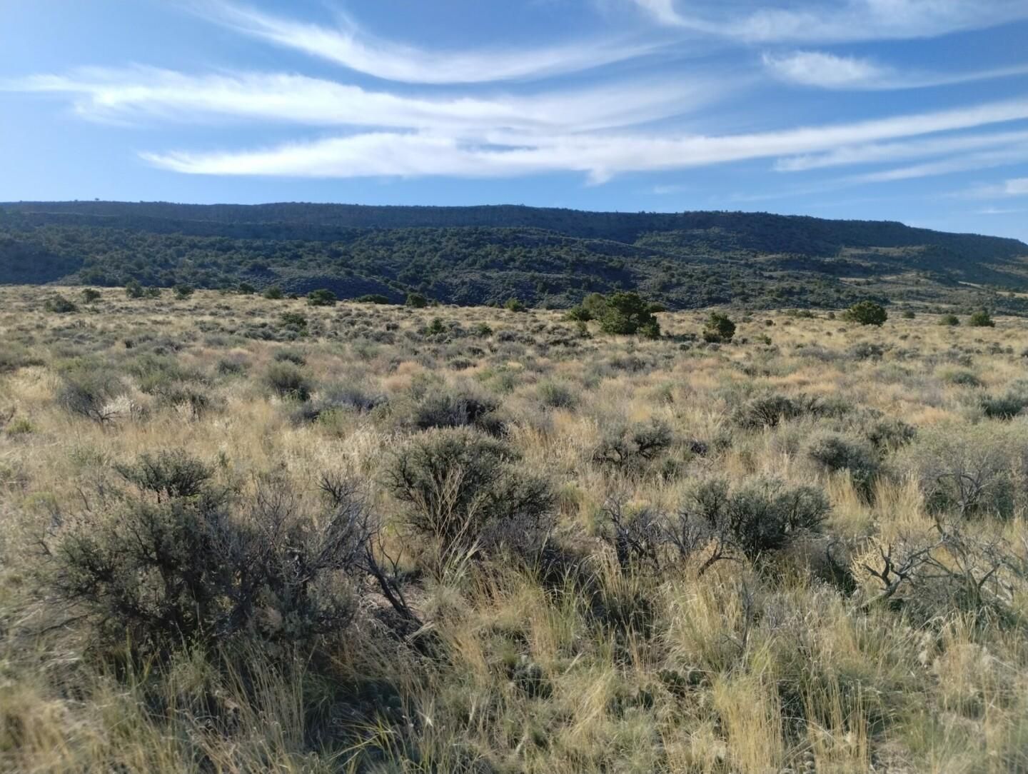 San Luis, Costilla County, CO Recreational Property, Homesites for sale