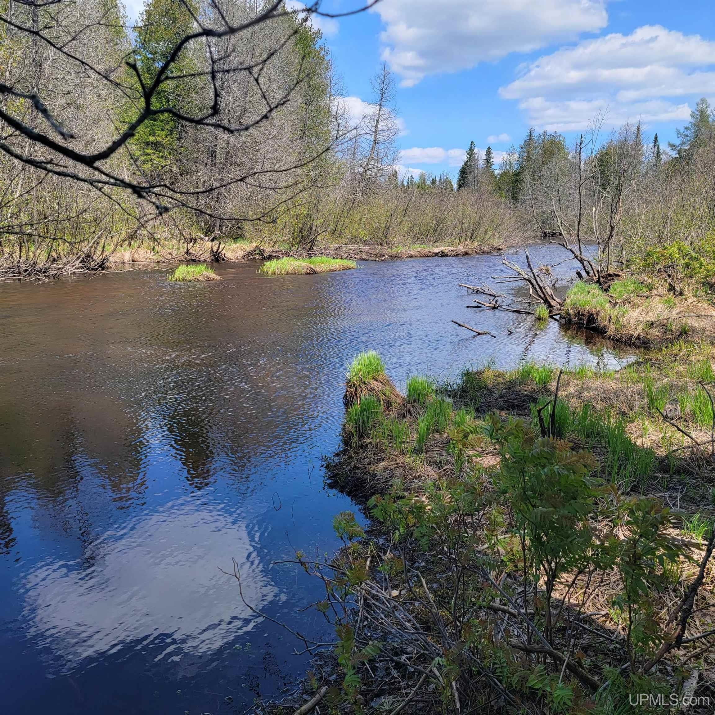 Watersmeet, Gogebic County, MI Undeveloped Land, Lakefront Property