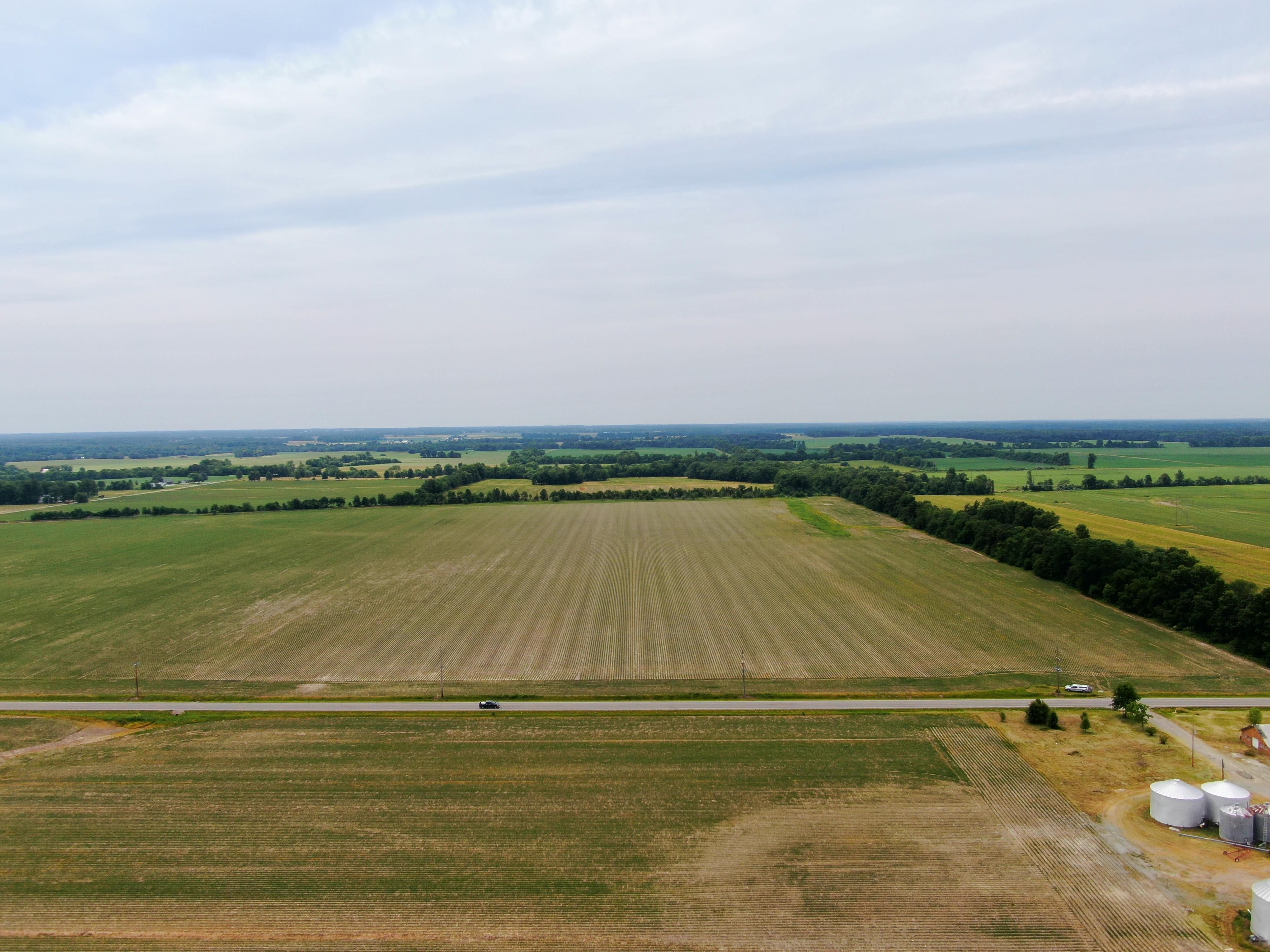 Flora, Clay County, IL Farms and Ranches for auction Property ID