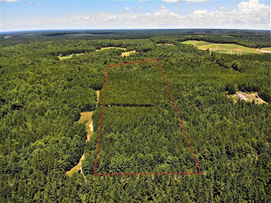 Drakes Branch, Charlotte County, VA Recreational Property, Timberland