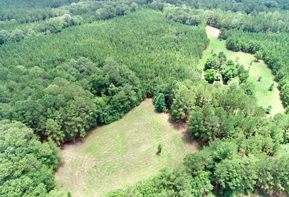 Butler, Taylor County, GA Recreational Property, Undeveloped Land