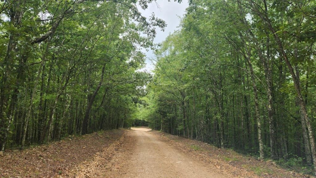 16.32 acres in Bismarck, AR, 71929 MLS 5048 Point Cedar LandWatch