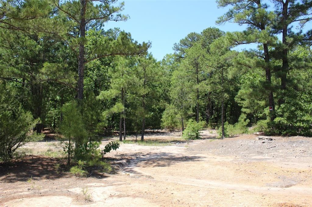 Hawkins, Wood County, TX Undeveloped Land for sale Property ID