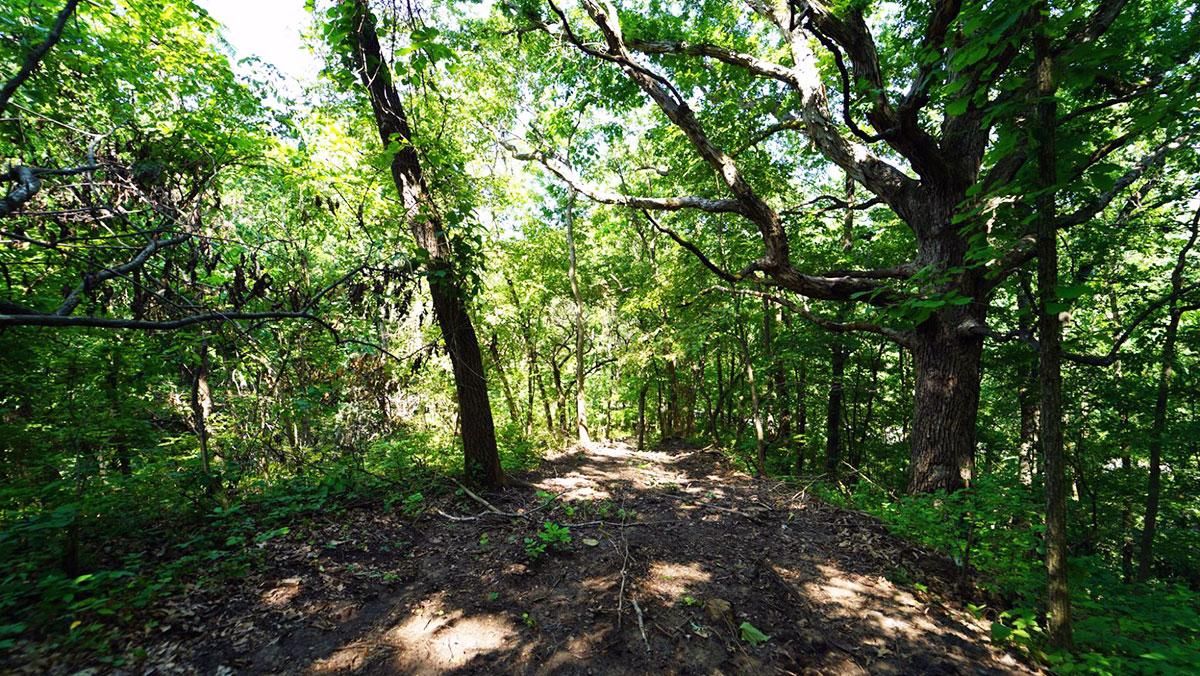 Peoria, Peoria County, IL Recreational Property, Timberland Property