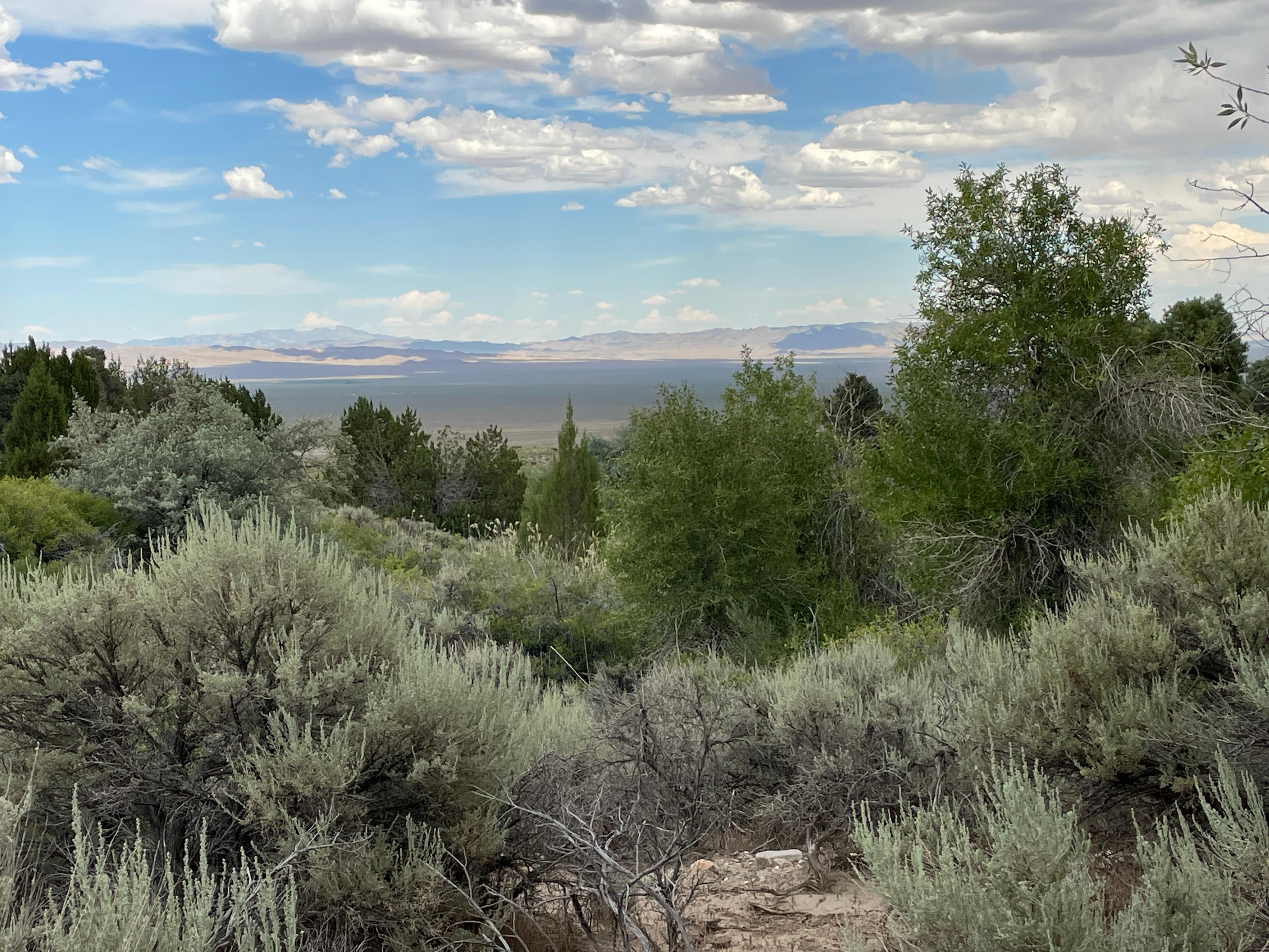 Baker, White Pine County, NV Recreational Property for sale Property ID