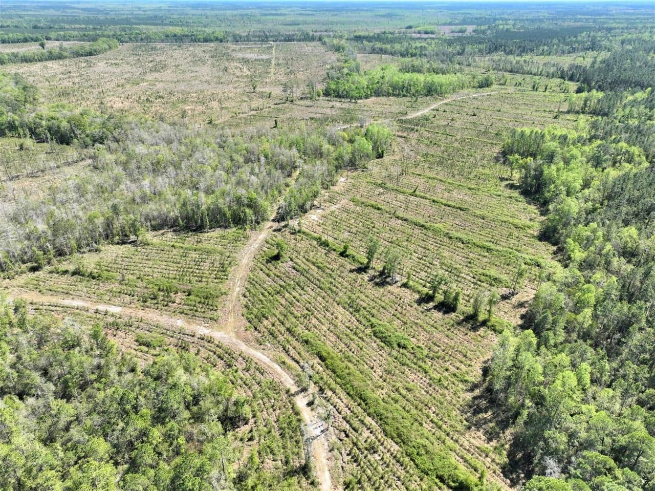 2115 River Rd, Folkston, GA 31537 LandWatch