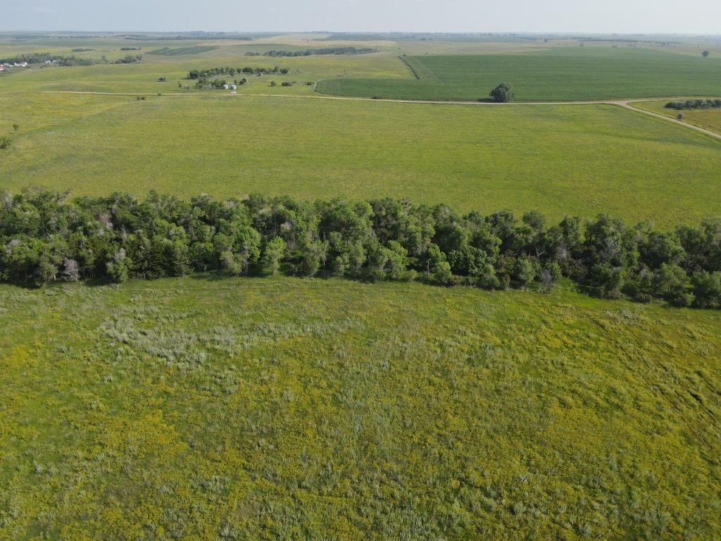 Glenham, Walworth County, SD Farms and Ranches, Hunting Property for