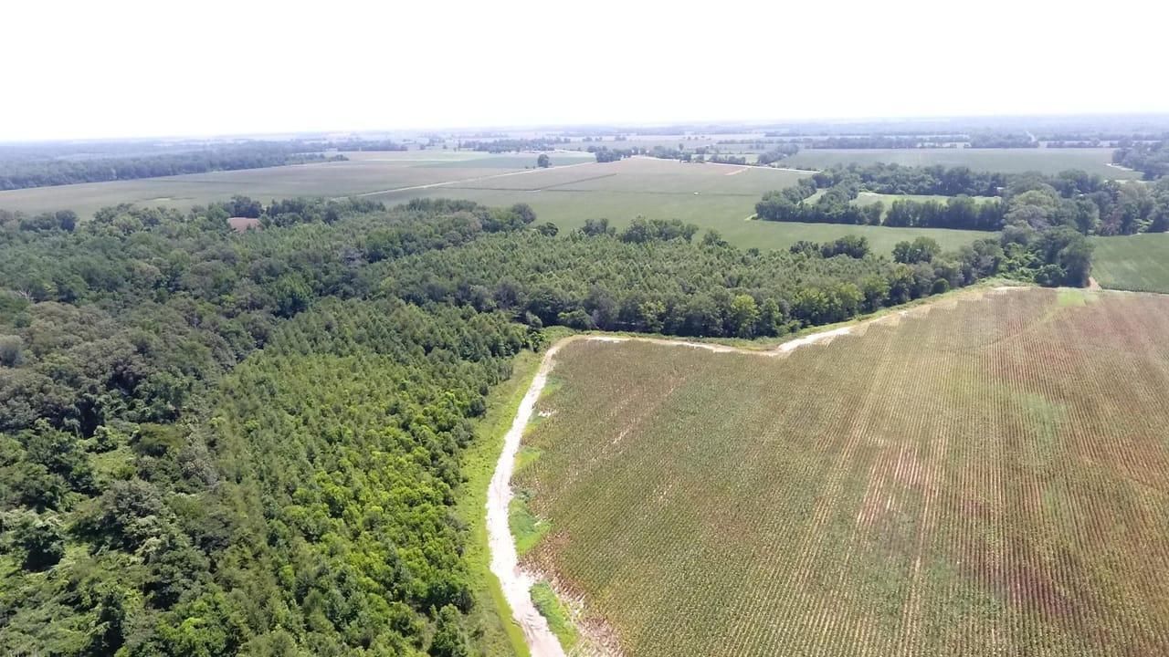 593 COLLINSTON RD., Collinston, LA 71229 MLS A50119 LandWatch