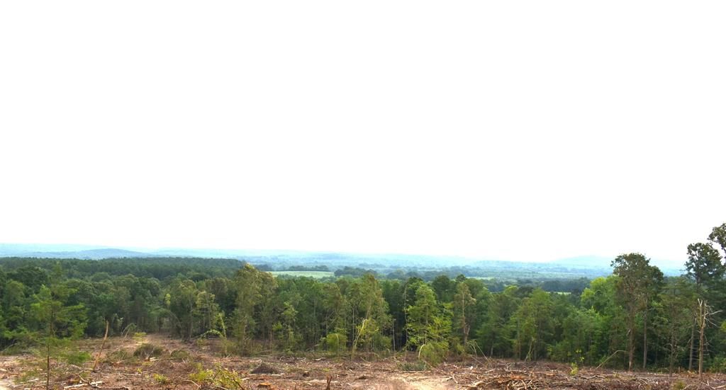 Cherokee, Colbert County, AL Undeveloped Land for sale Property ID