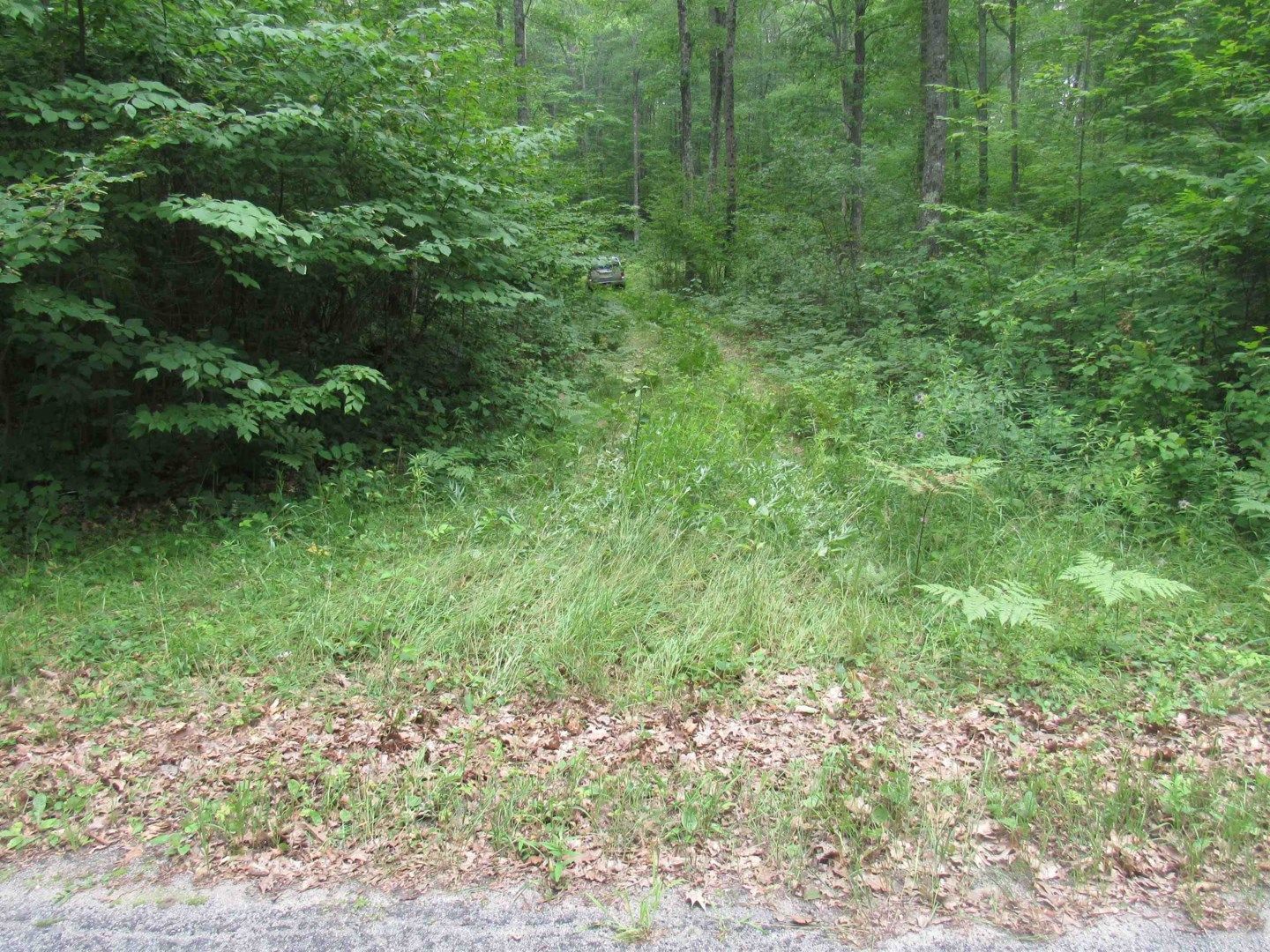 Wausaukee, County, WI Undeveloped Land for sale Property ID