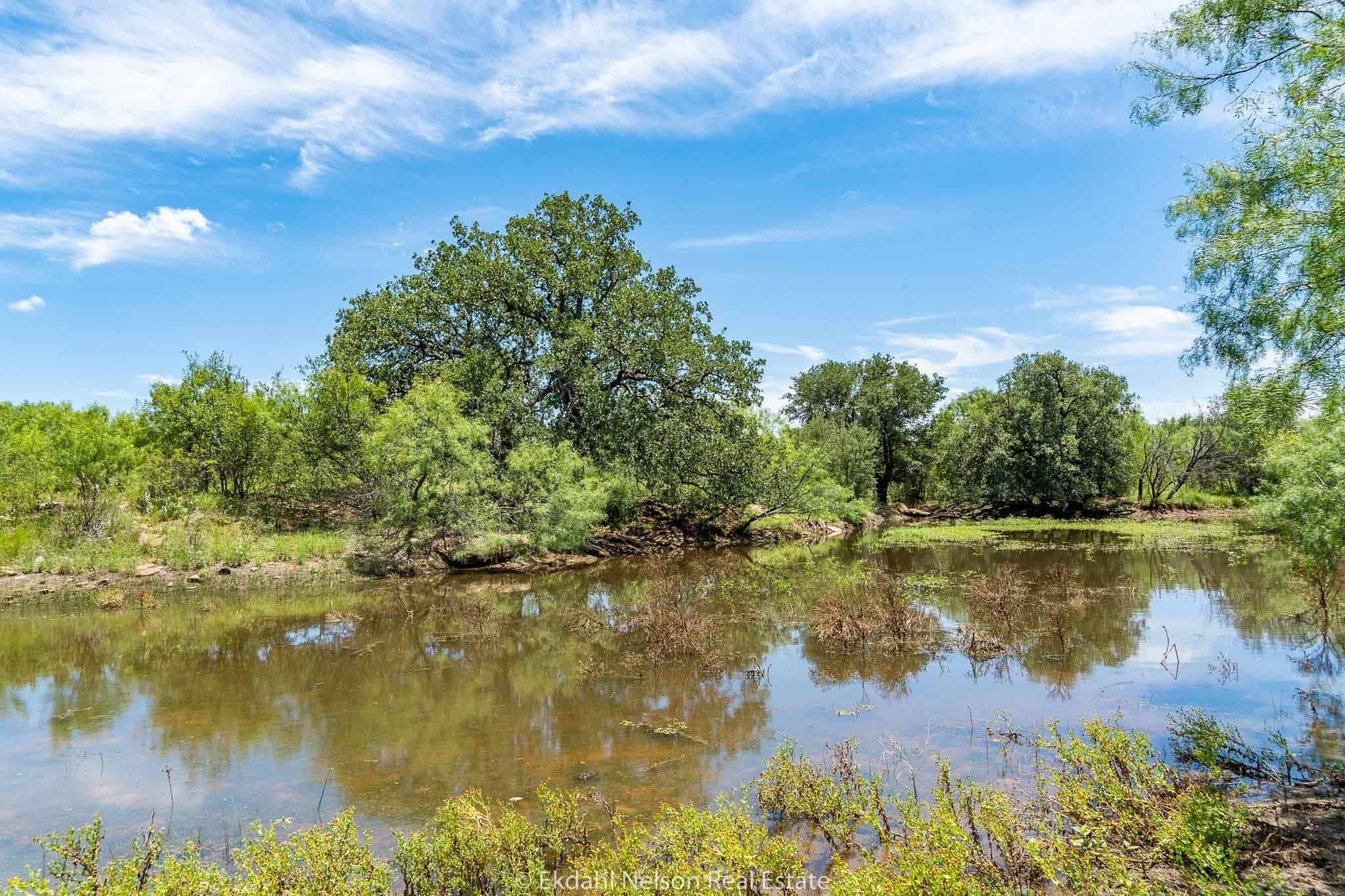 Moran, Shackelford County, TX Farms and Ranches, Recreational Property