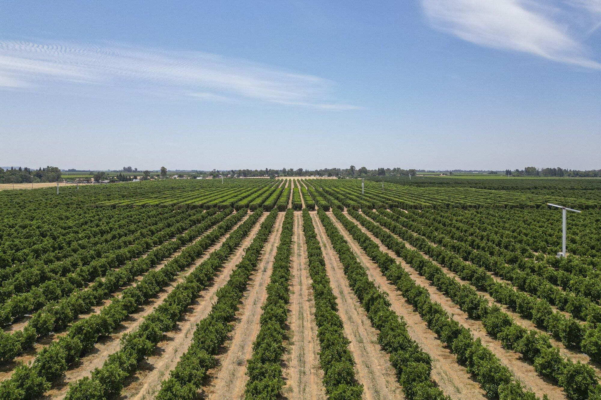 Sanger, Fresno County, CA Farms and Ranches for sale Property ID