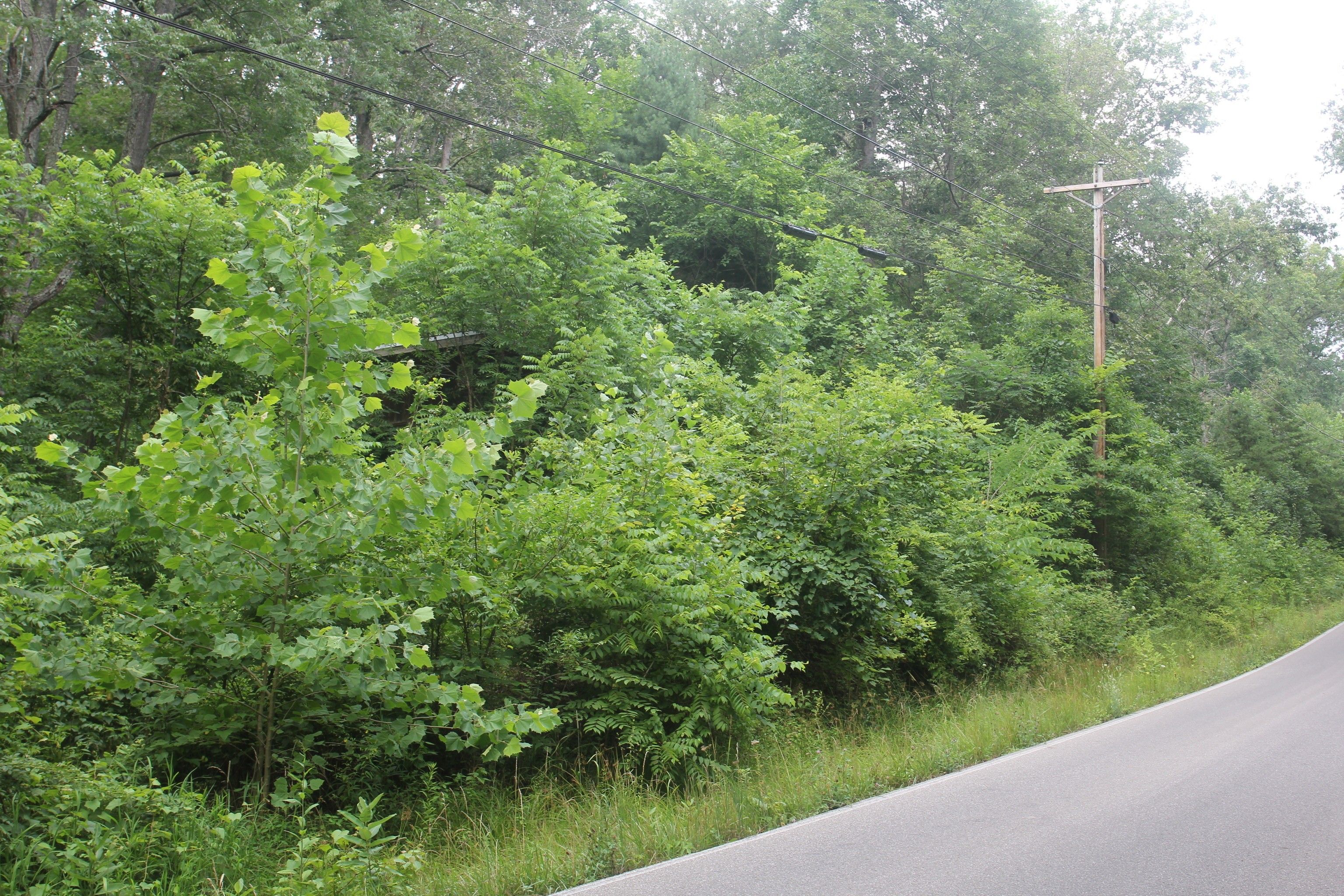 Nineveh, Brown County, IN Farms and Ranches, Homesites for sale