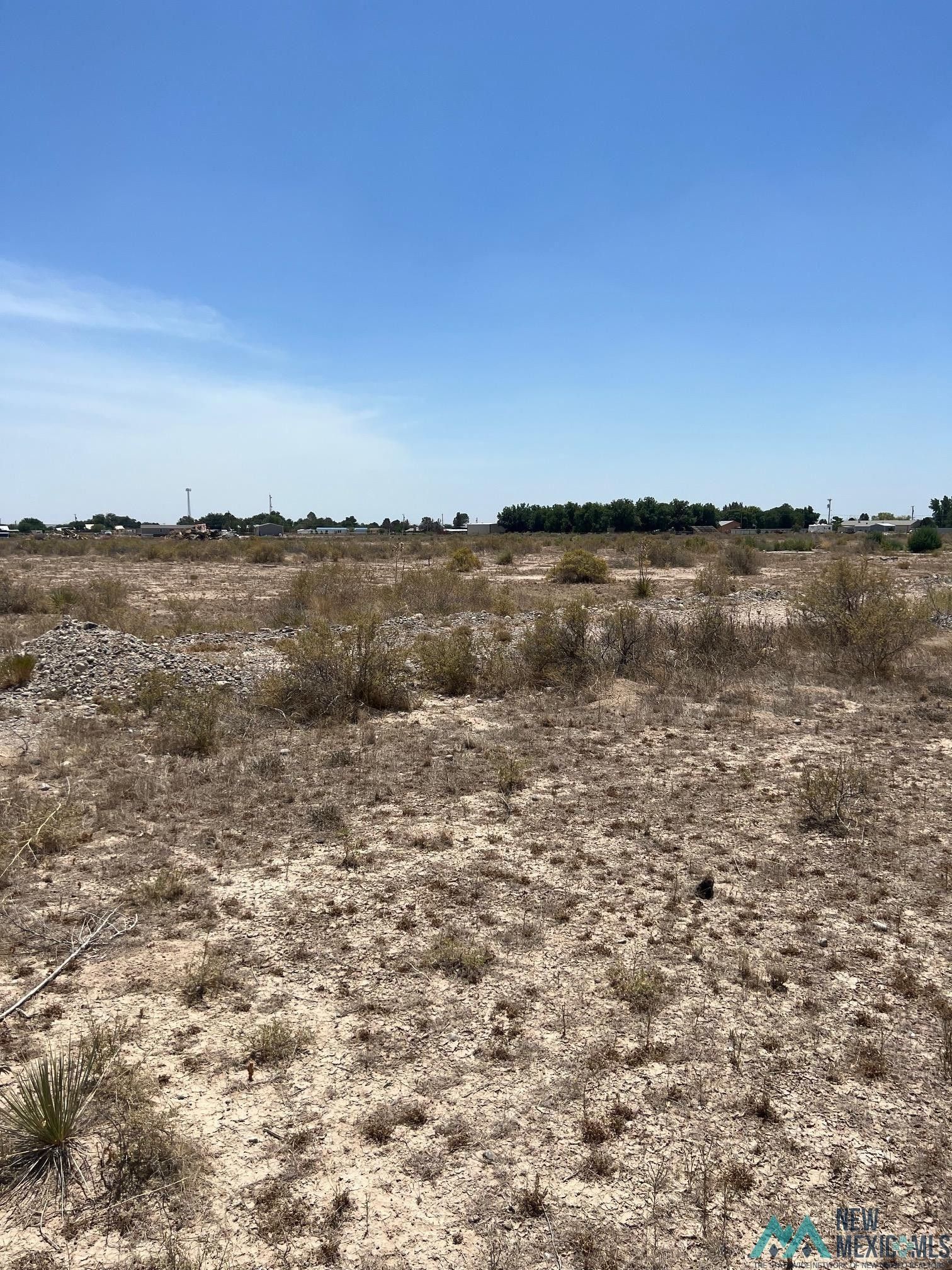Artesia, Eddy County, NM Undeveloped Land for sale Property ID