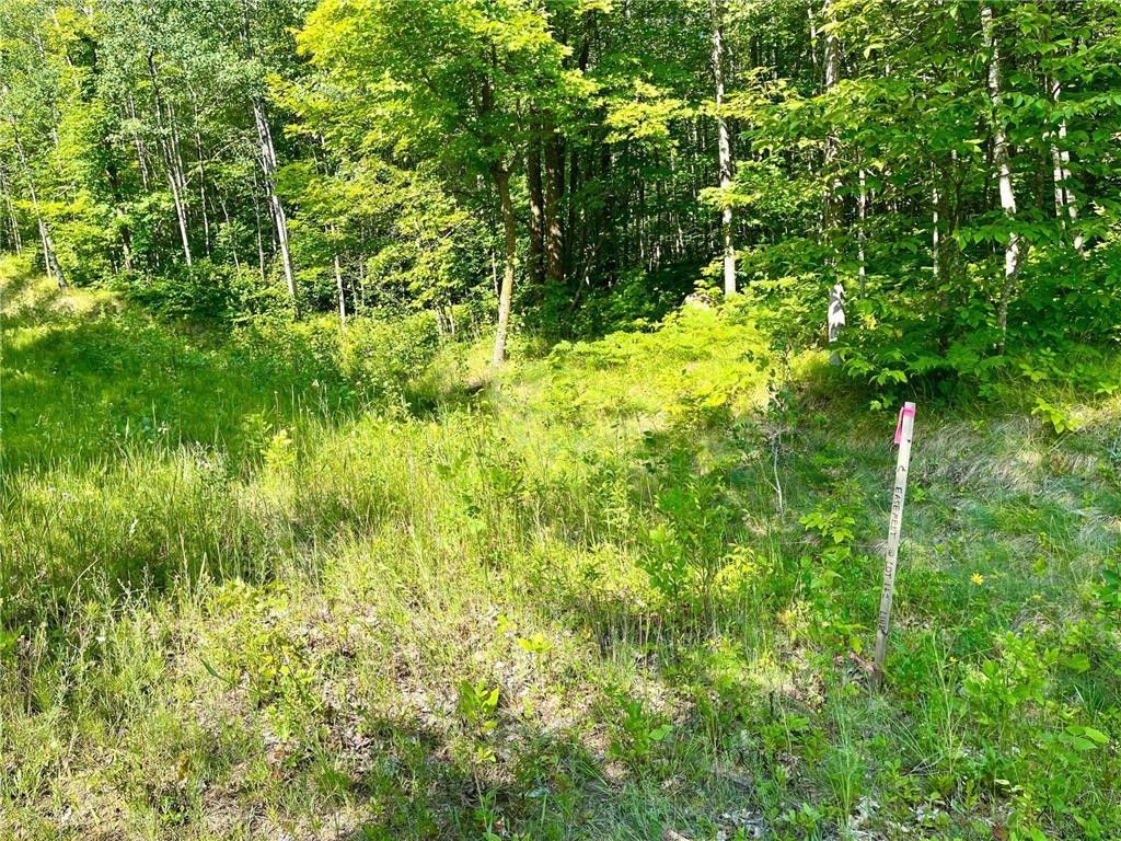 Hackensack, Cass County, MN Undeveloped Land for sale Property ID