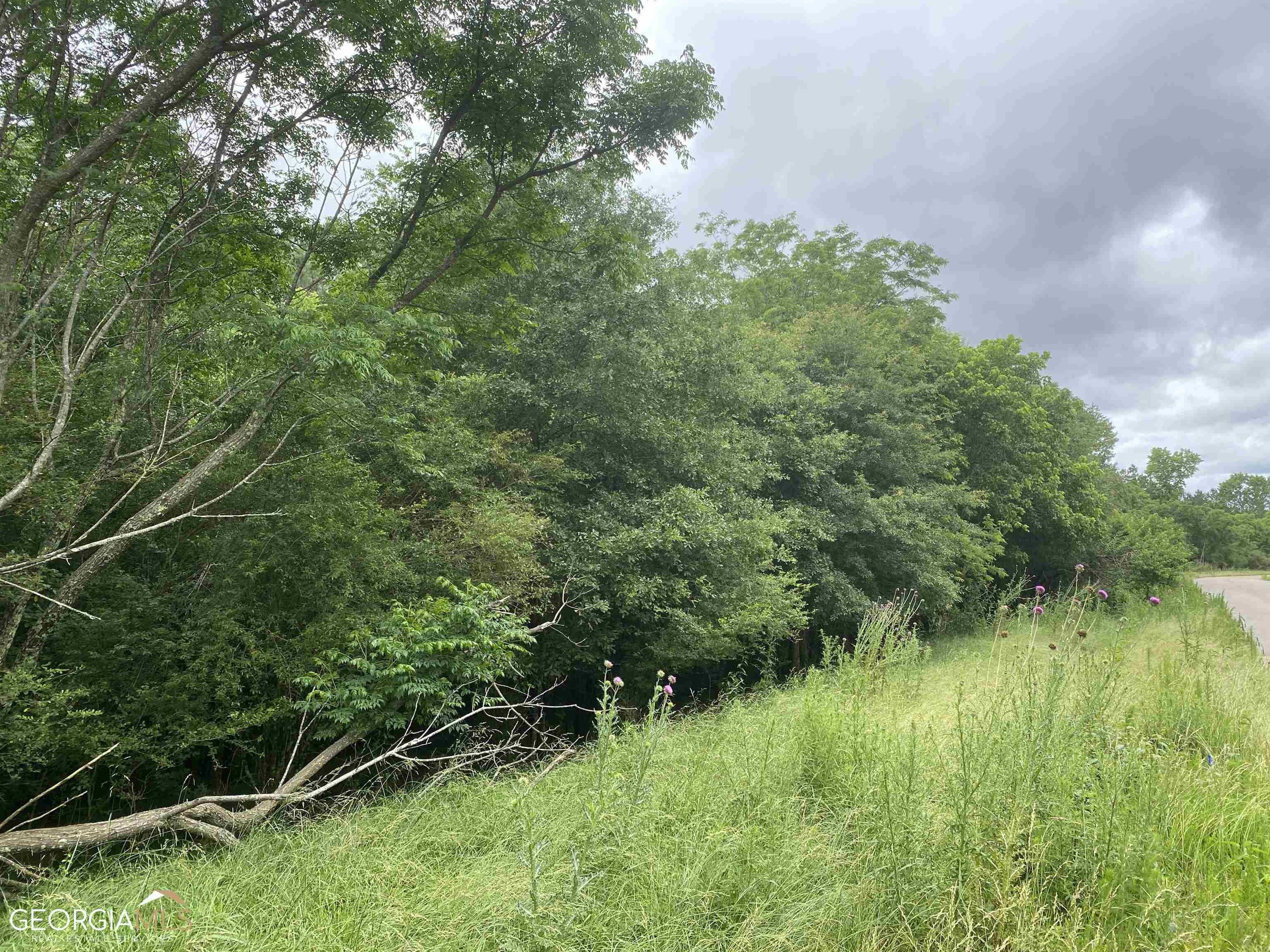 Colbert, Madison County, GA Undeveloped Land, Homesites for sale