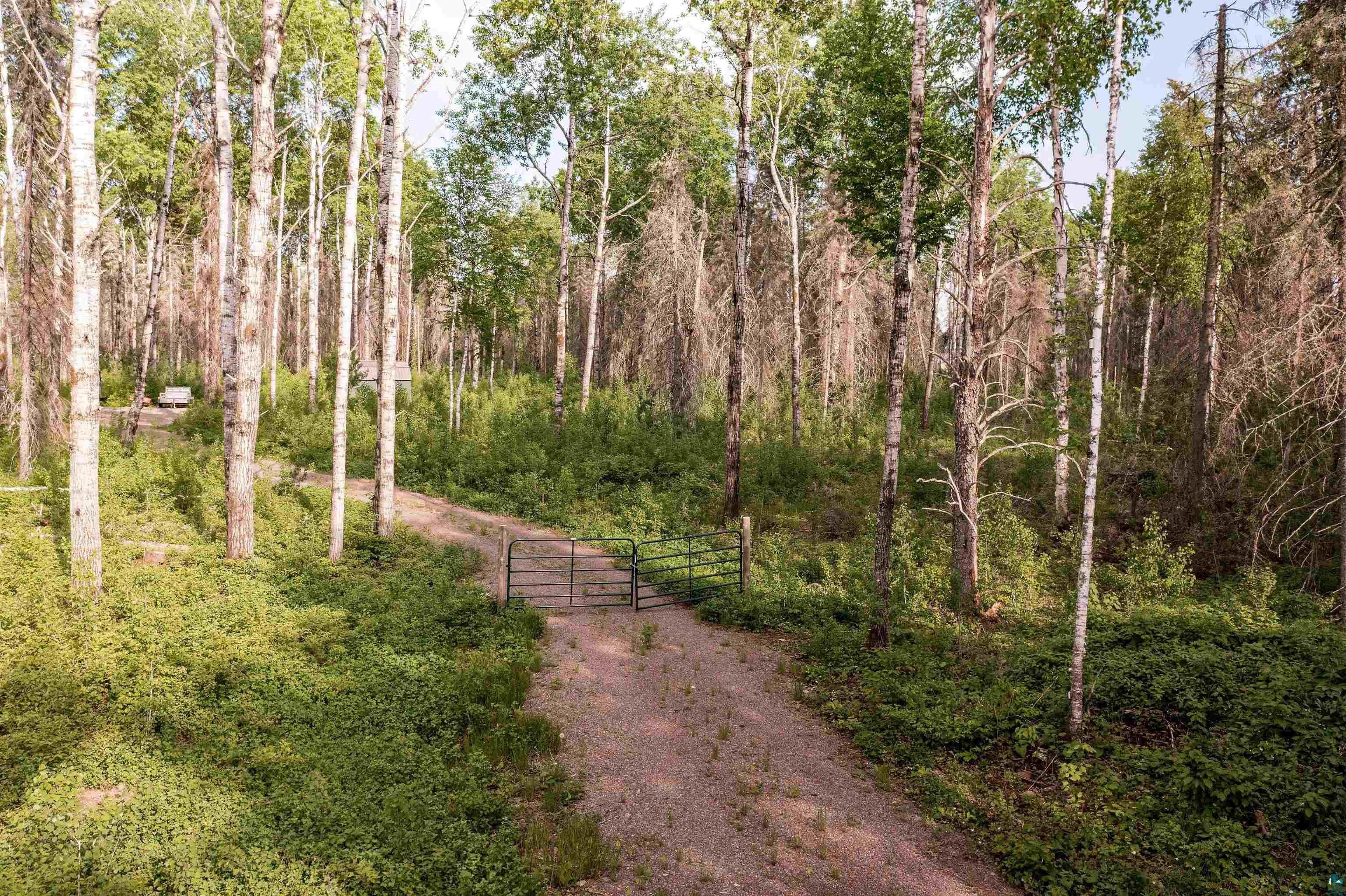 Isabella, Lake County, MN Undeveloped Land for sale Property ID