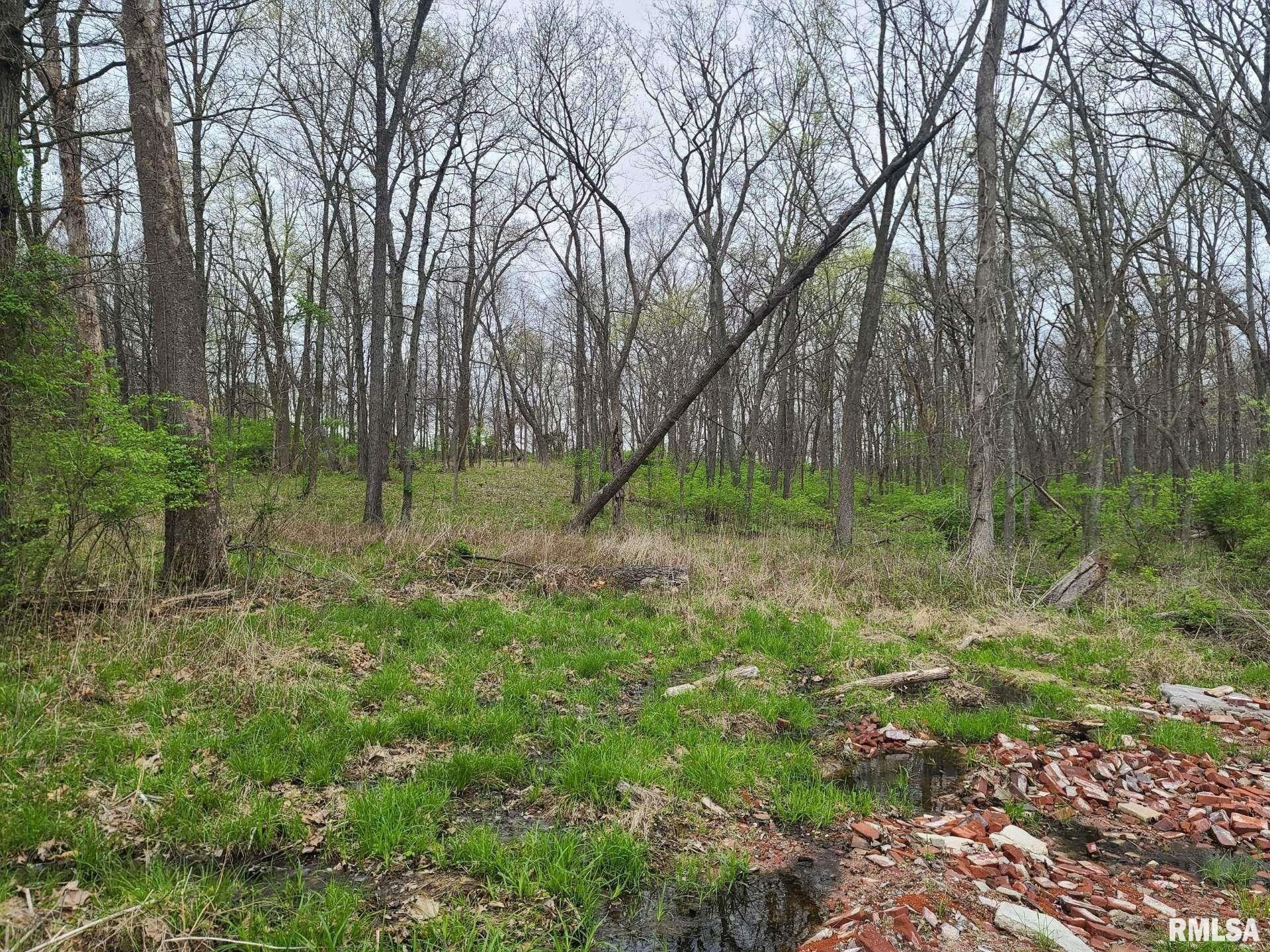 Bakerville, Jefferson County, IL Undeveloped Land for sale Property ID