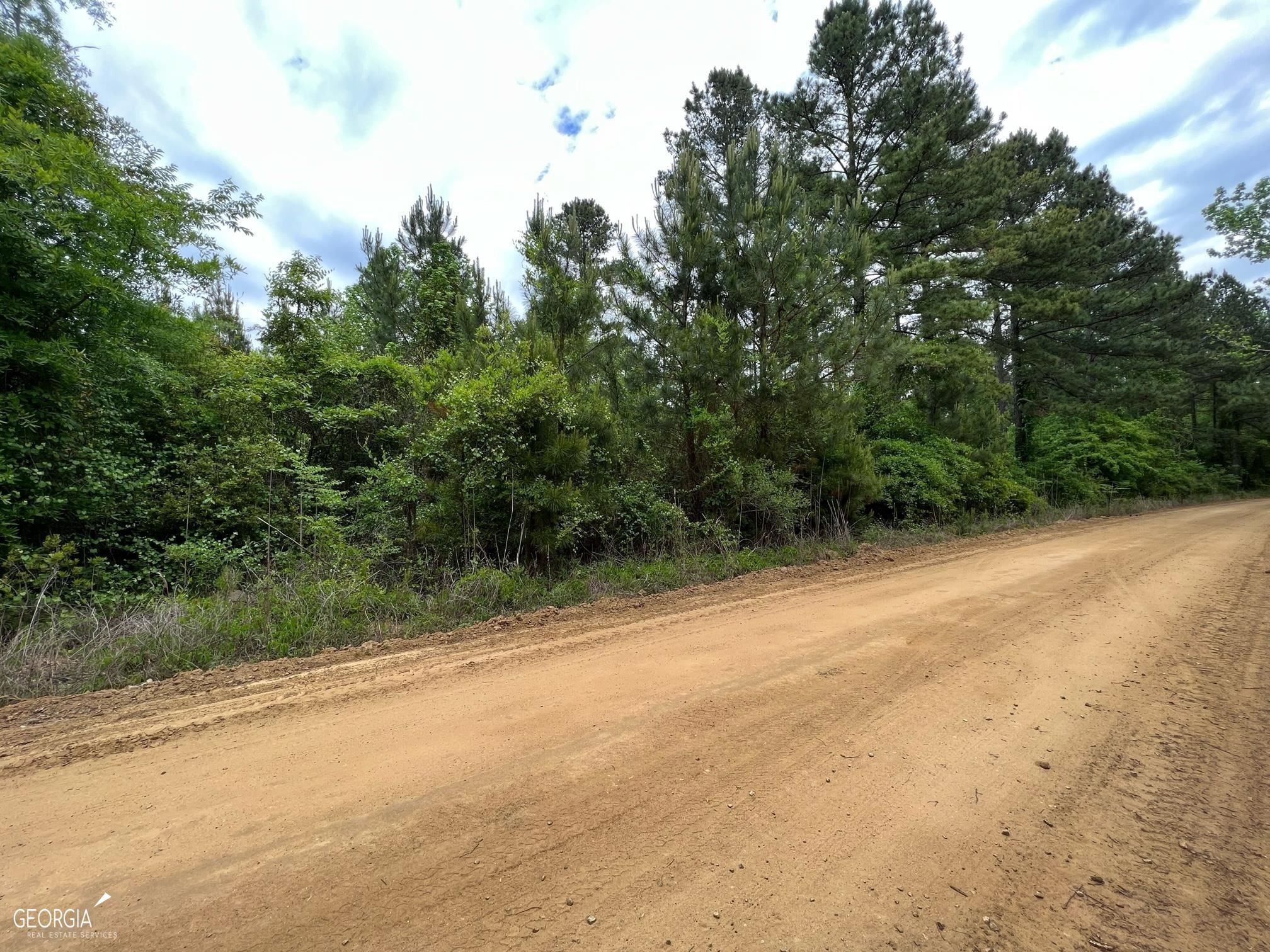 1177 Tarver Rd, Davisboro, GA 31018 MLS 20122899 LandWatch