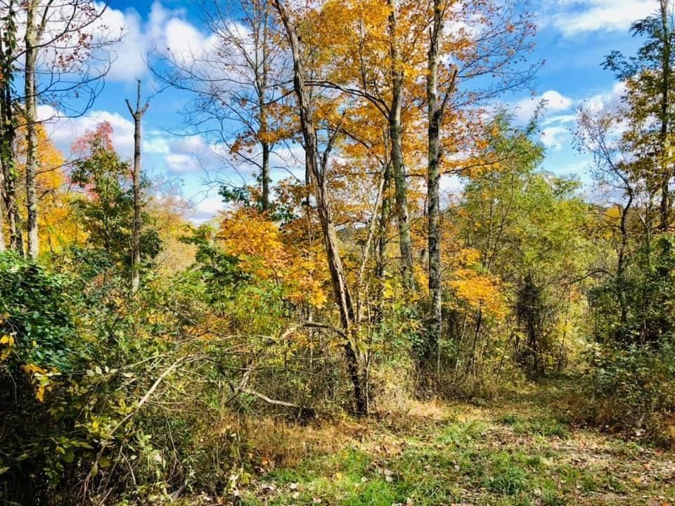 Corning, Perry County, OH for sale Property ID 416855007 LandWatch