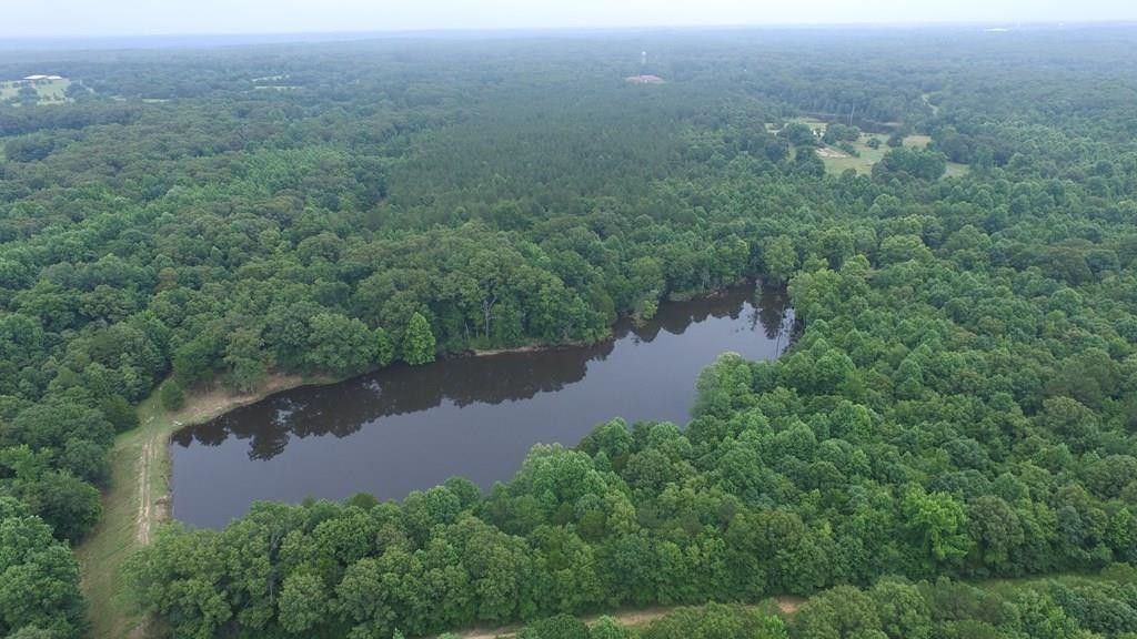 Oxford, Lafayette County, MS Undeveloped Land, Lakefront Property