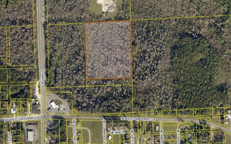 N MARION AVENUE (OFF), Lake City, FL 32055 MLS 118966 LandWatch