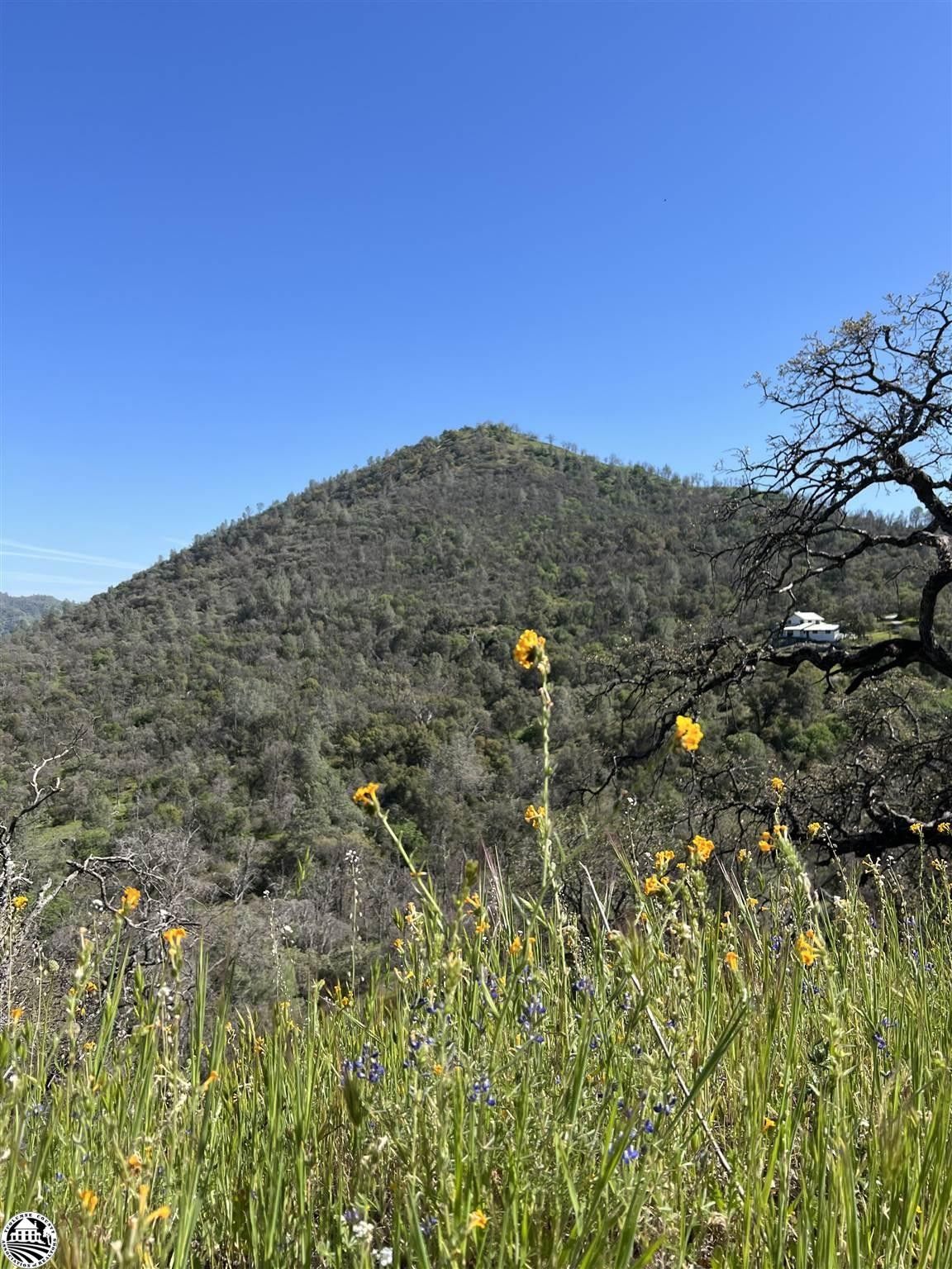 Ahwahnee, Madera County, CA Farms and Ranches for sale Property ID