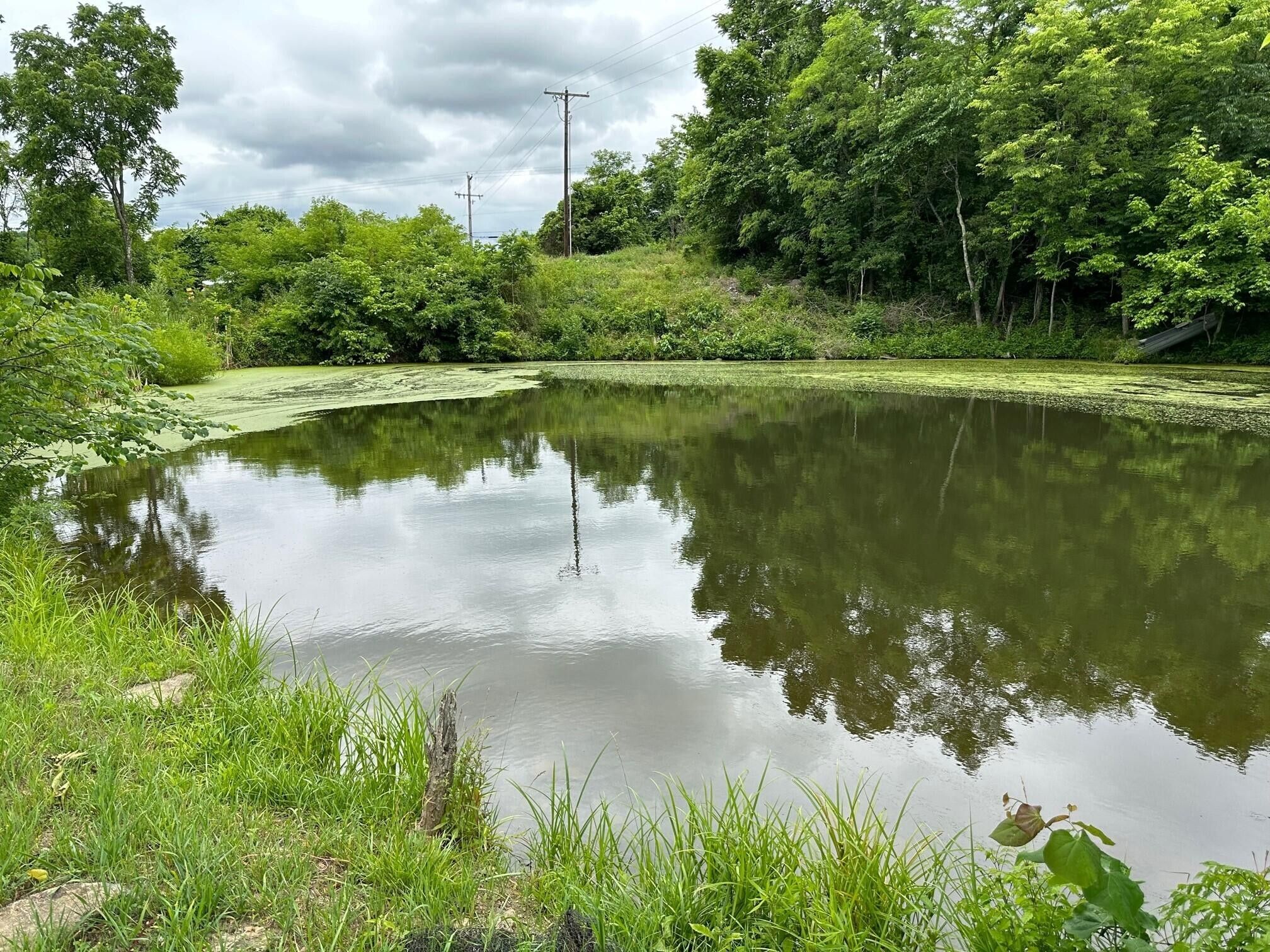 Foster, Bracken County, KY Homesites for sale Property ID 416941606 LandWatch