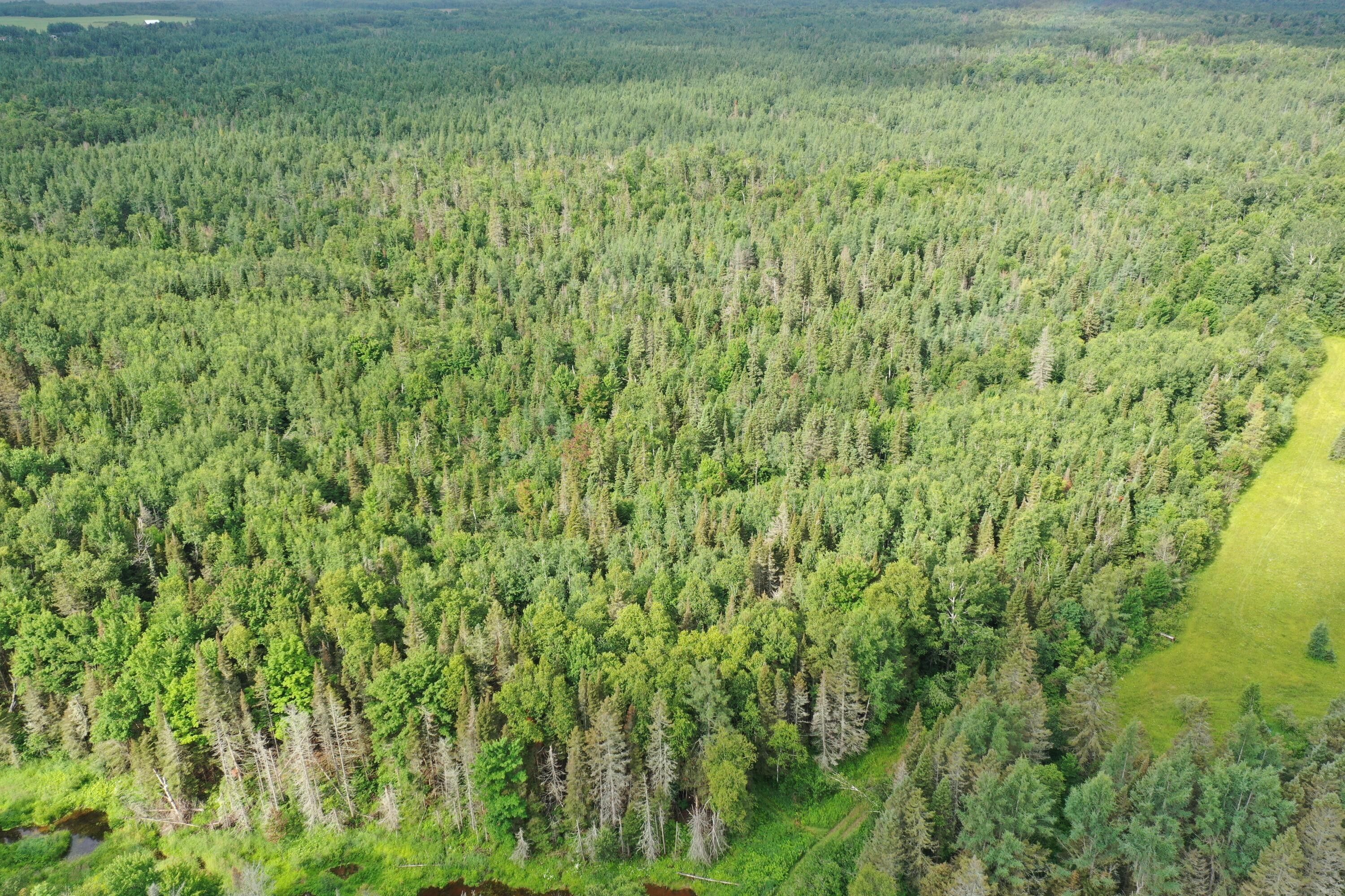 Brimley, Chippewa County, MI Farms and Ranches for sale Property ID