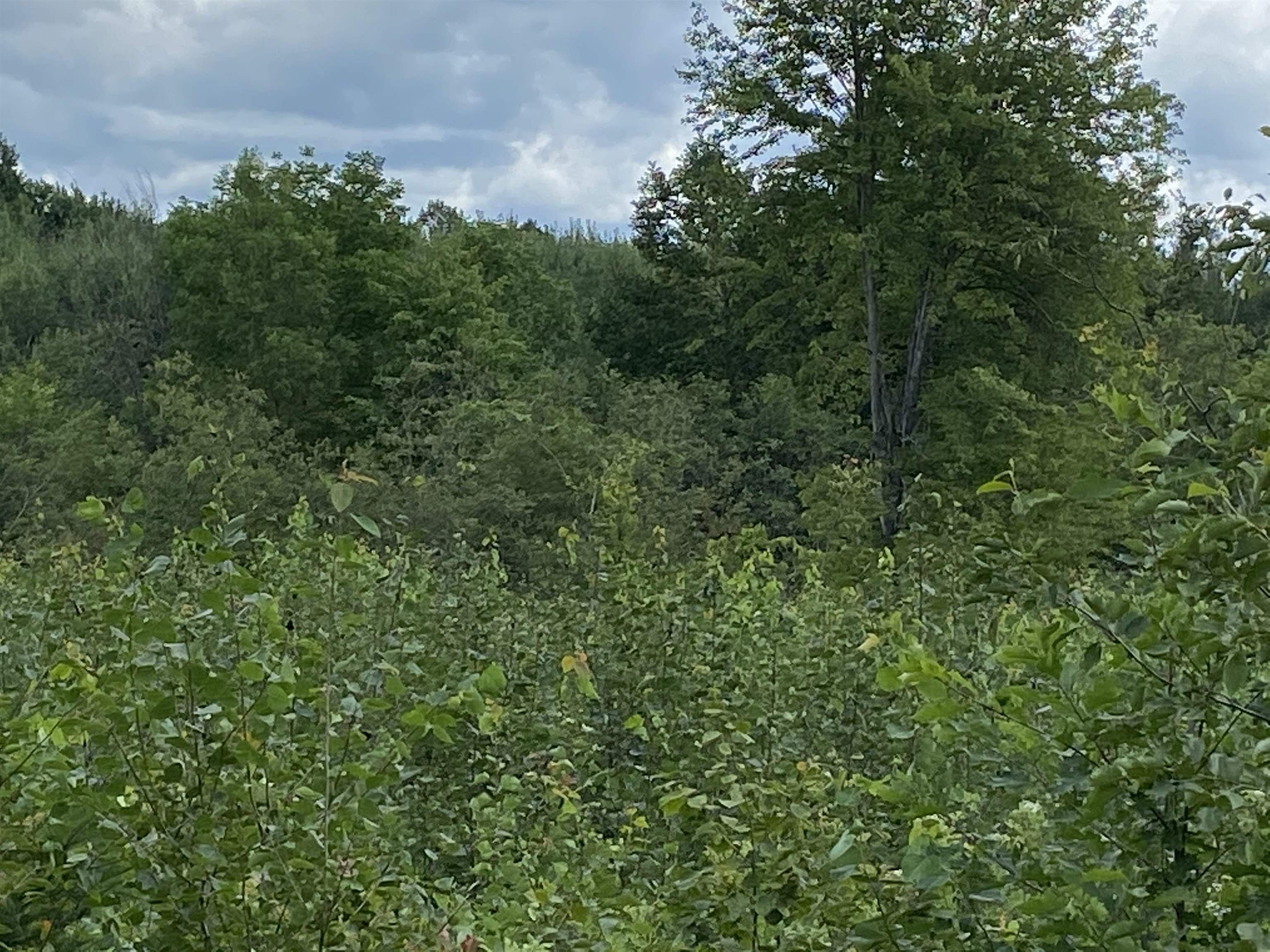 Weston, Marathon County, WI Undeveloped Land for sale Property ID 417059280 LandWatch