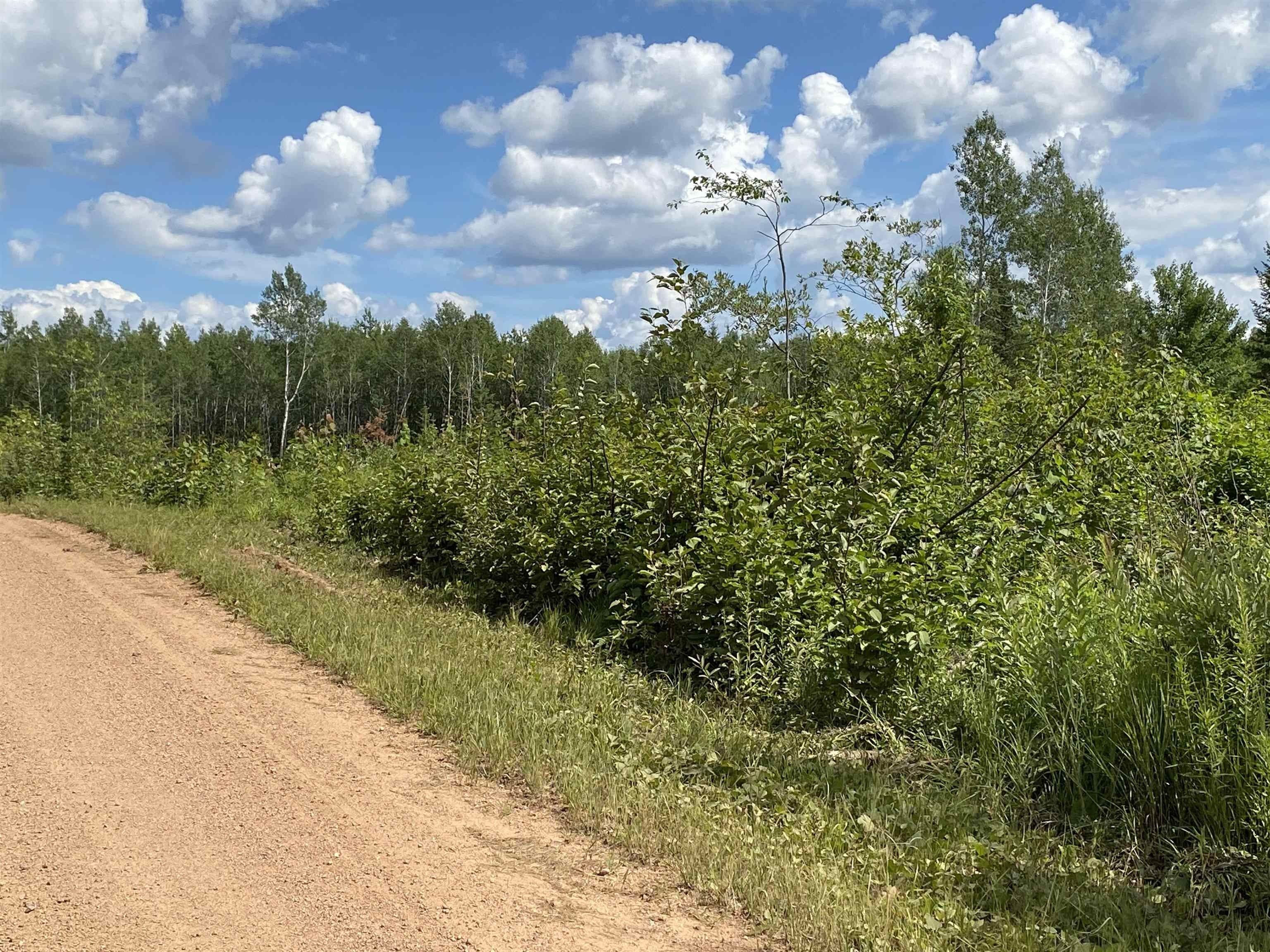 Merrill, Lincoln County, WI Undeveloped Land for sale Property ID