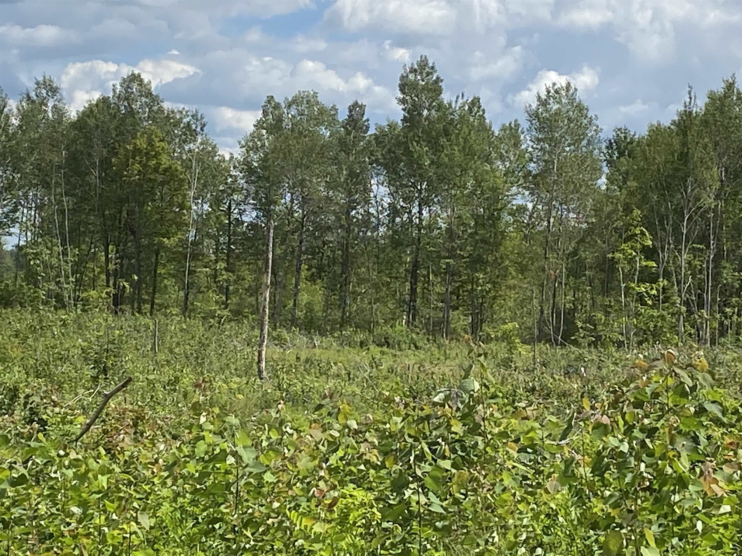 Merrill, Lincoln County, WI Undeveloped Land for sale Property ID