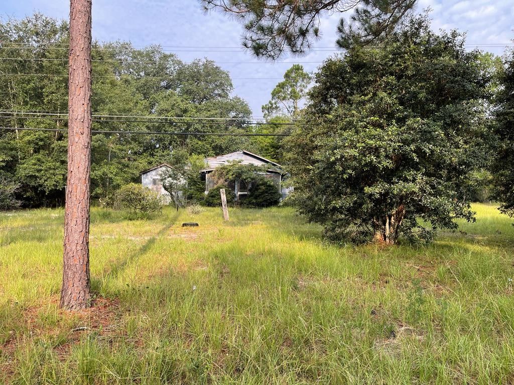 Willacoochee, Atkinson County, GA House for sale Property ID 417059593