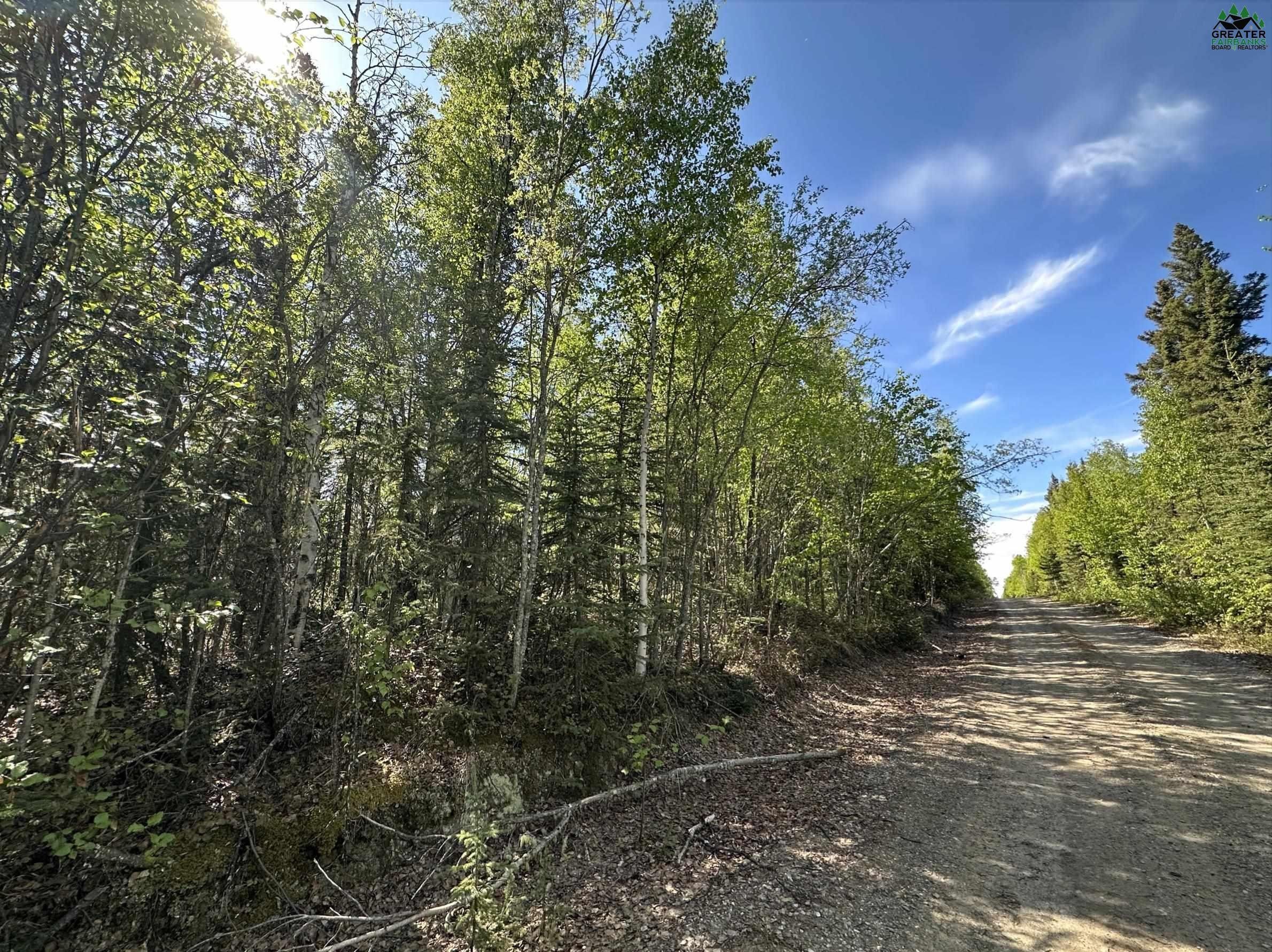 Delta Junction, Southeast Fairbanks Borough, AK Undeveloped Land