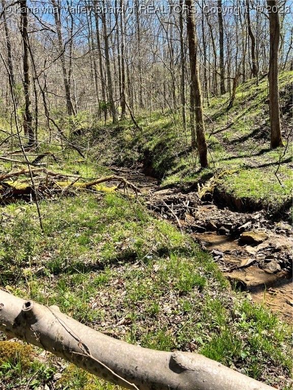 Sissonville, Kanawha County, WV Undeveloped Land, Lakefront Property, Waterfront Property for
