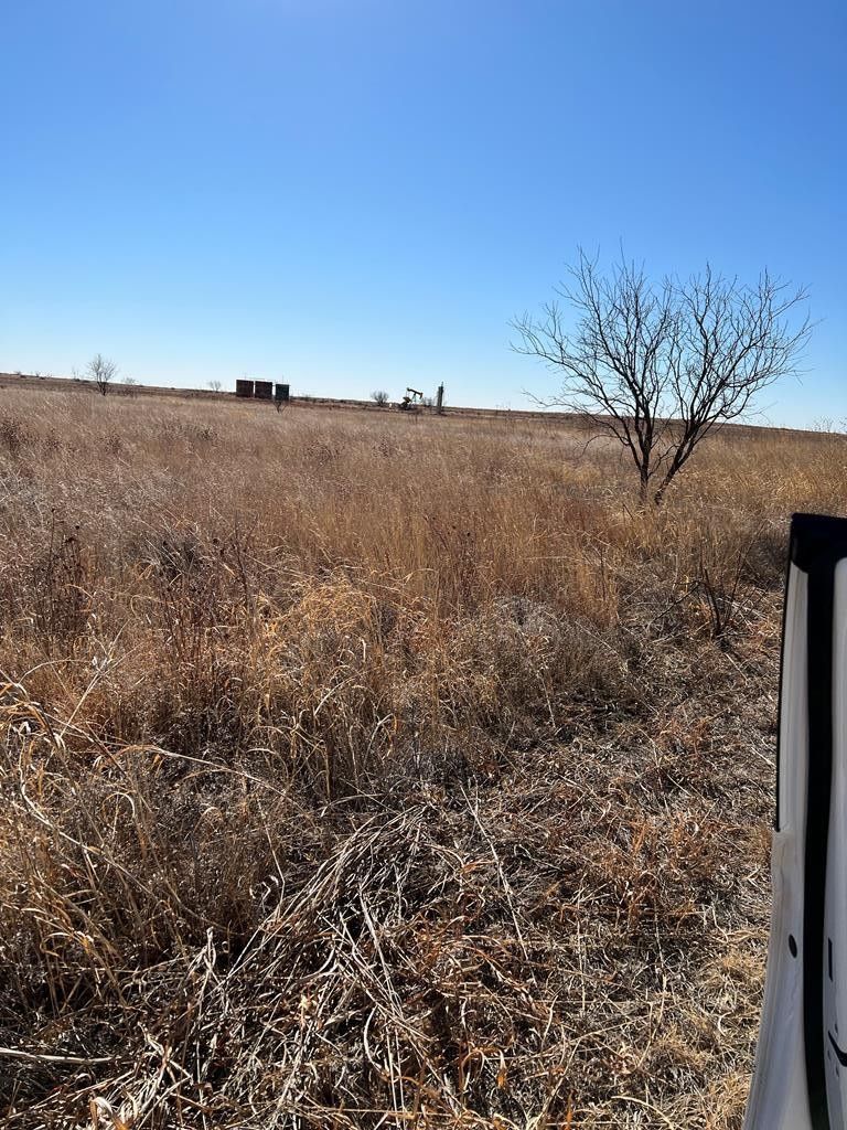 Snyder, Scurry County, TX Undeveloped Land for sale Property ID