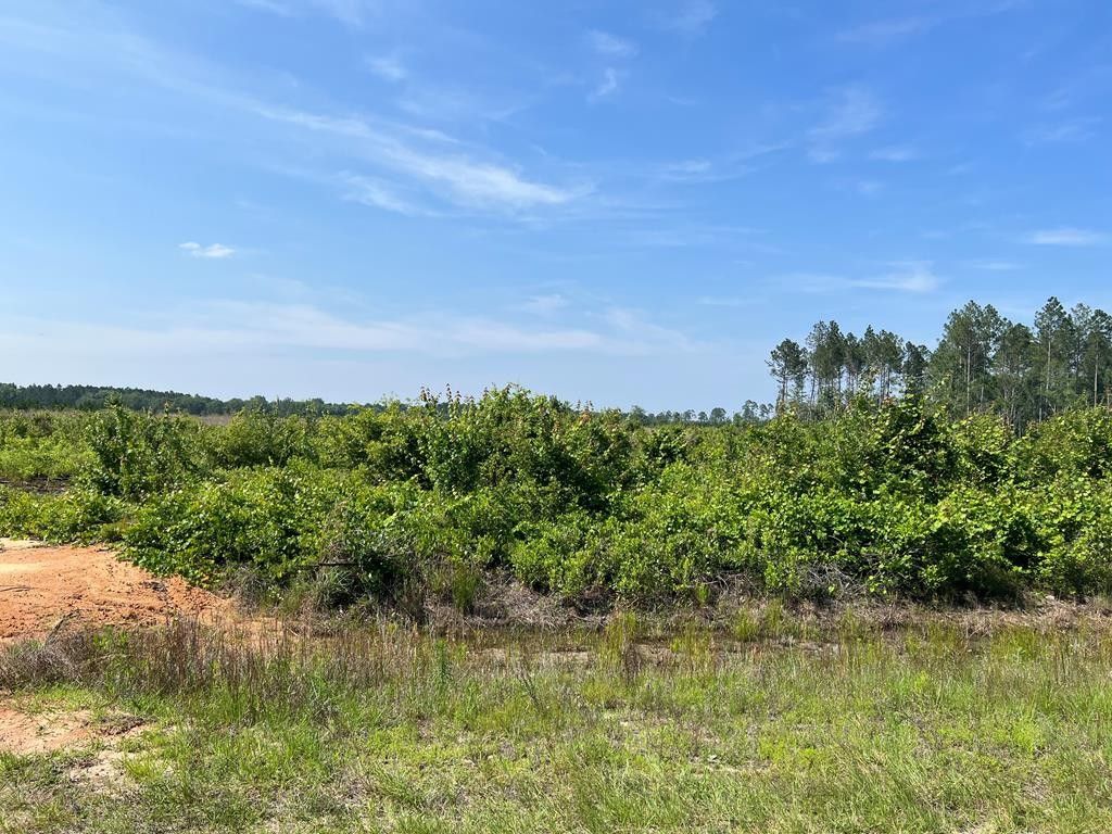 Baxley, Appling County, GA Farms and Ranches for sale Property ID
