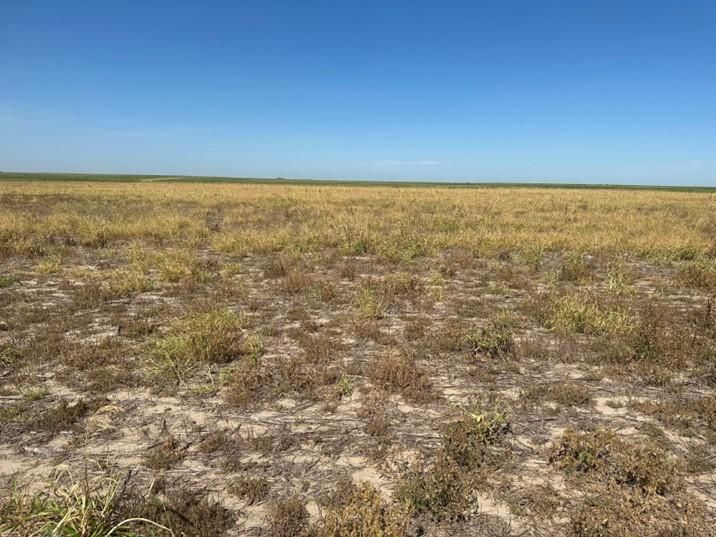 Lakin, Kearny County, KS Farms and Ranches, Undeveloped Land for sale Property ID 417060554