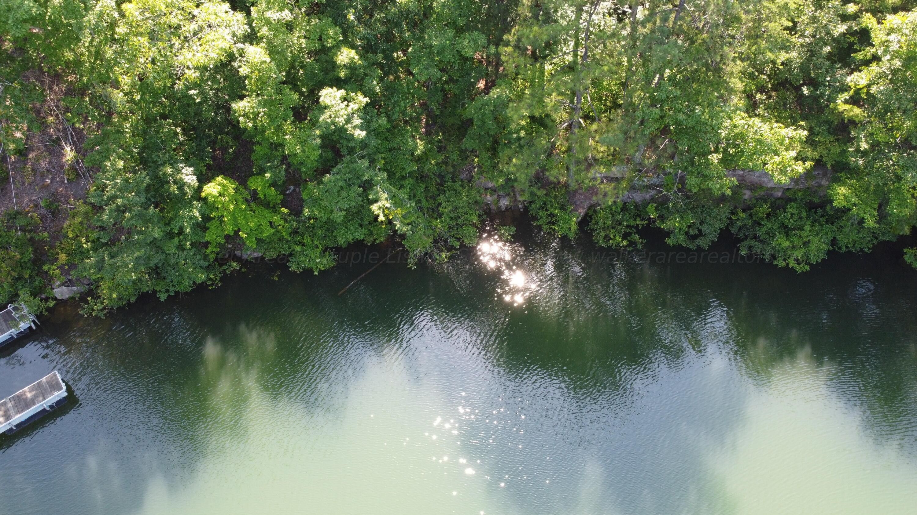 Arley, Winston County, AL Undeveloped Land, Lakefront Property